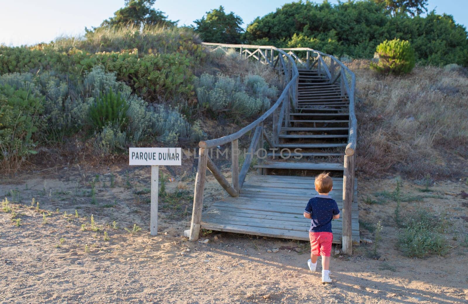 Little boy visit Dunes park of Matalascanas. Costa de la Luz seashore, Huelva, Spain