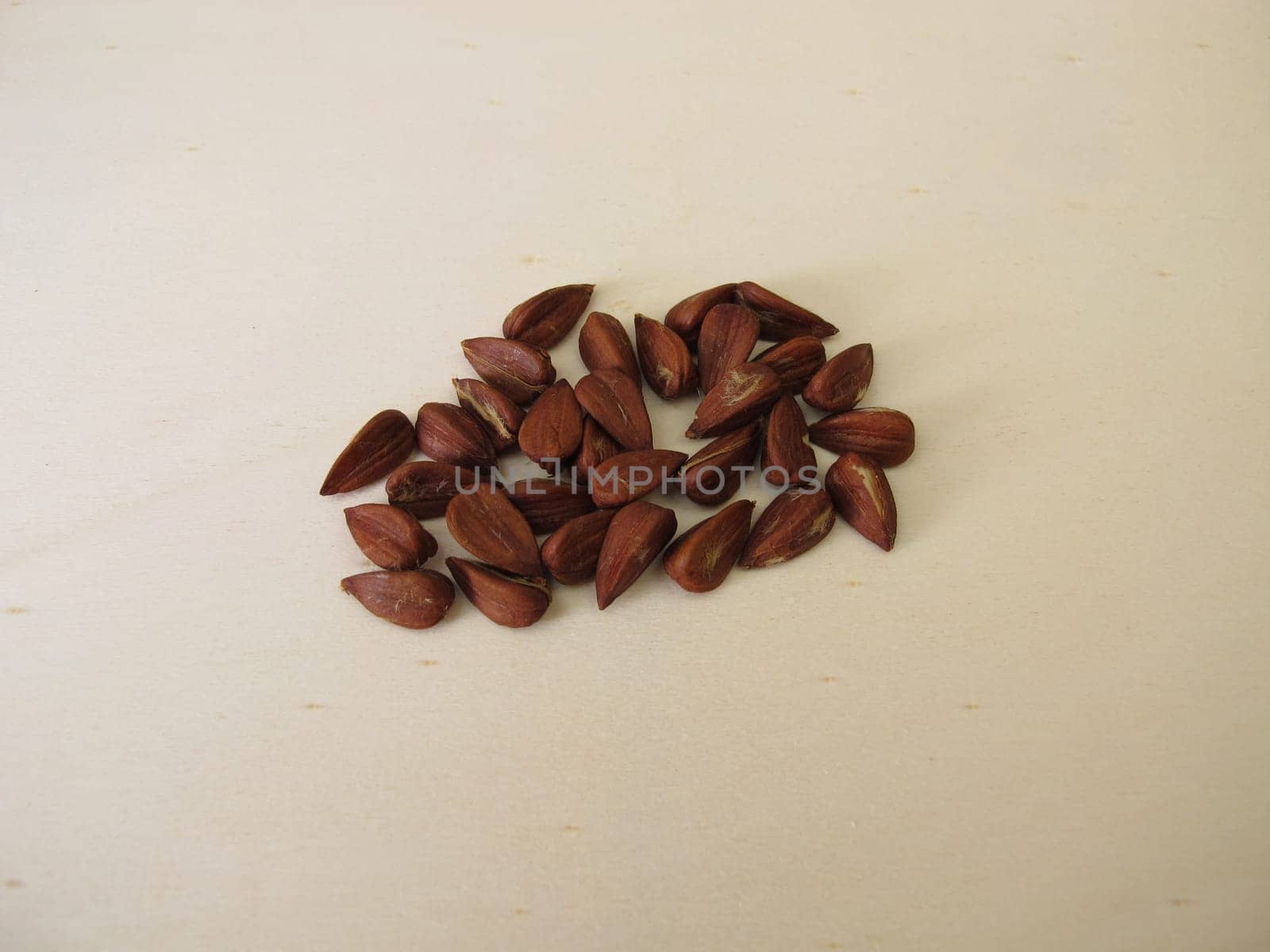Shelled beechnuts from the European beech on a wooden board