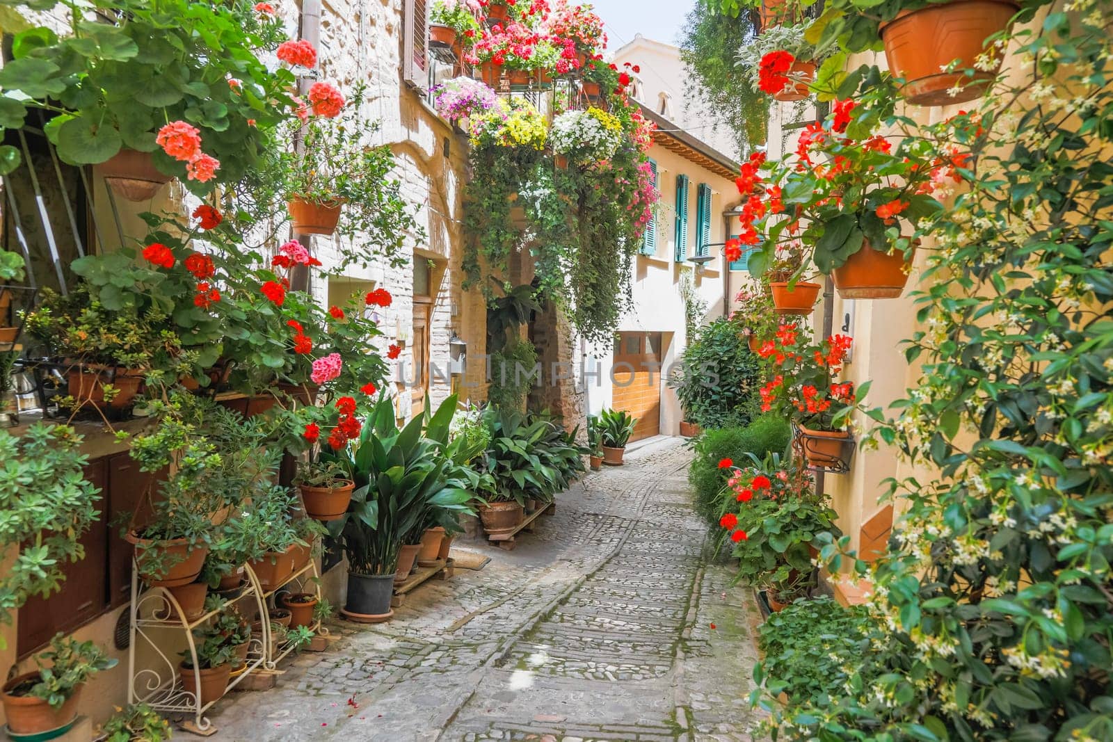 Spello, Italy - Circa June 2021: flowers in ancient street. Spello is located in Umbria region, Italy.