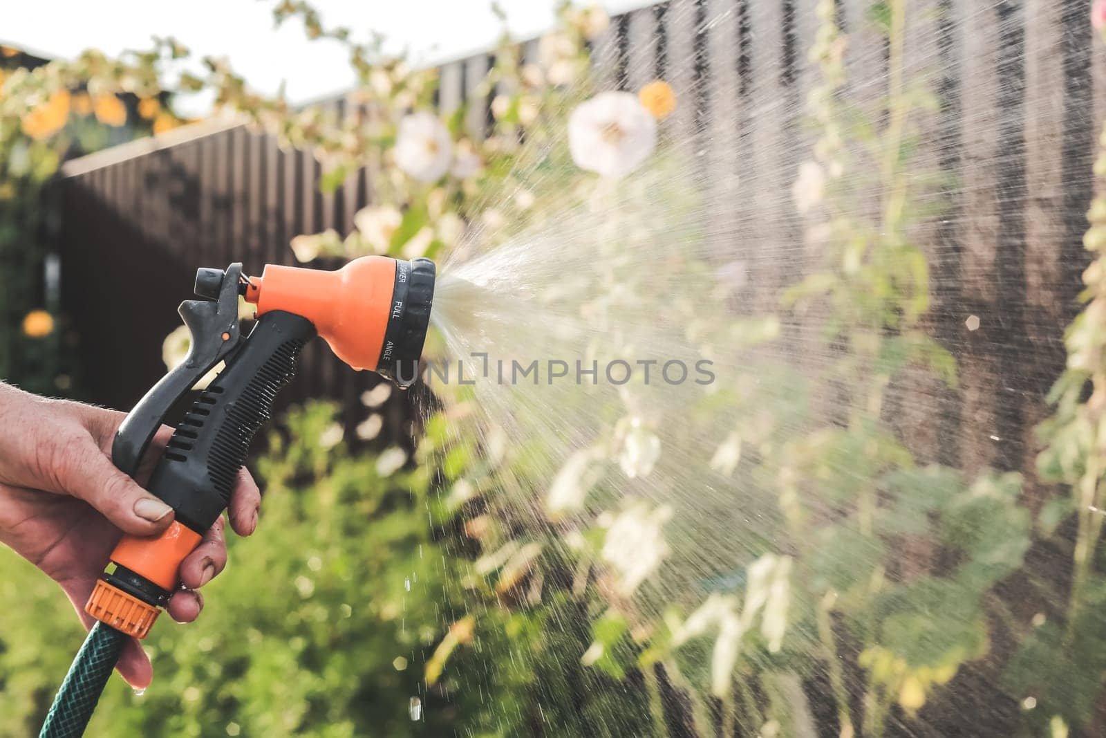 garden hose and spray gun on hand to water the green field.