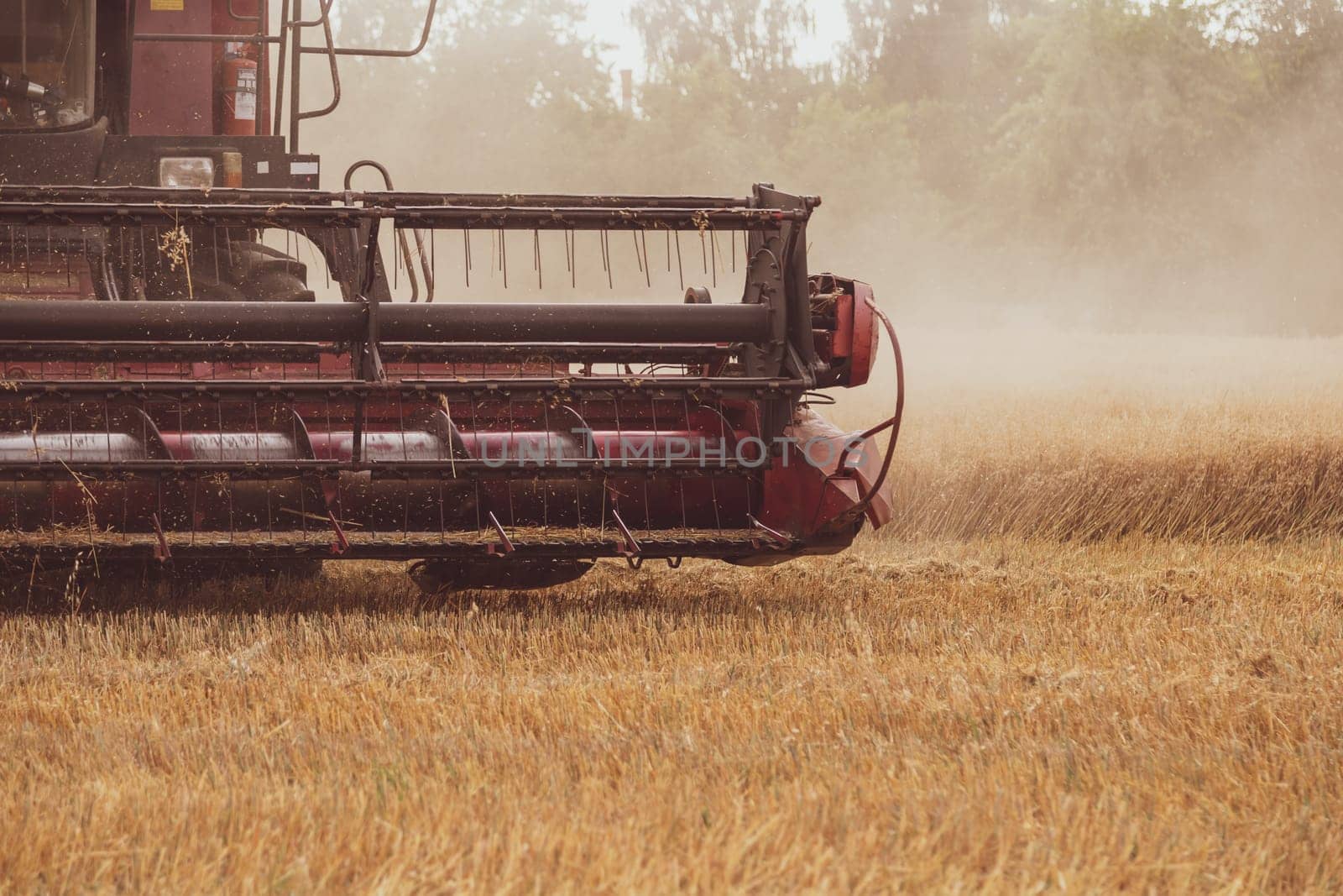 Combine harvester in the field. Close-up of a reel. Harvesting season. Rye and barley.