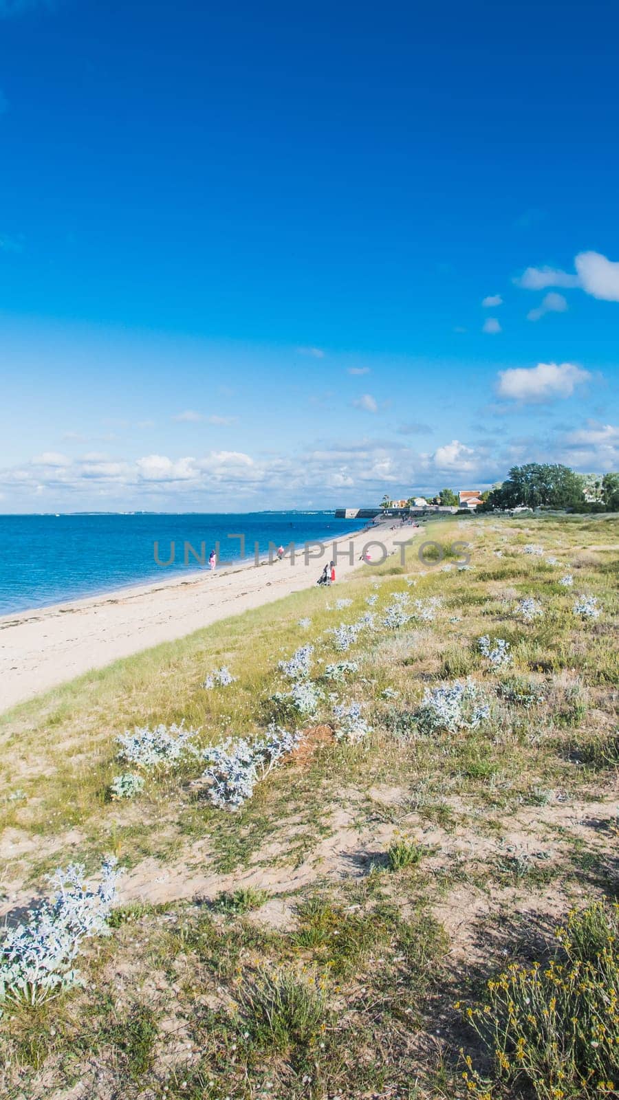 the beach of La Phibie on the island of Oléron, in France under a beautiful blue sky
