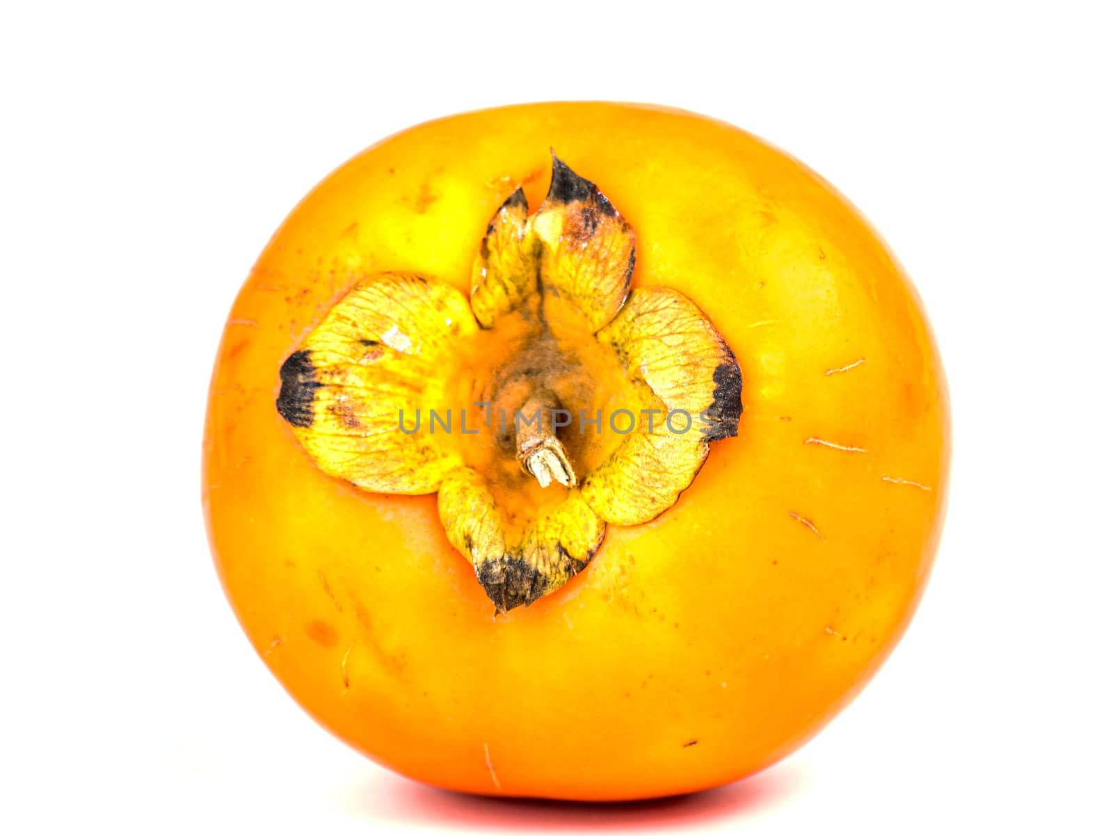 Persimmon fruit on a white background. Harvest. Place for text. Free place.