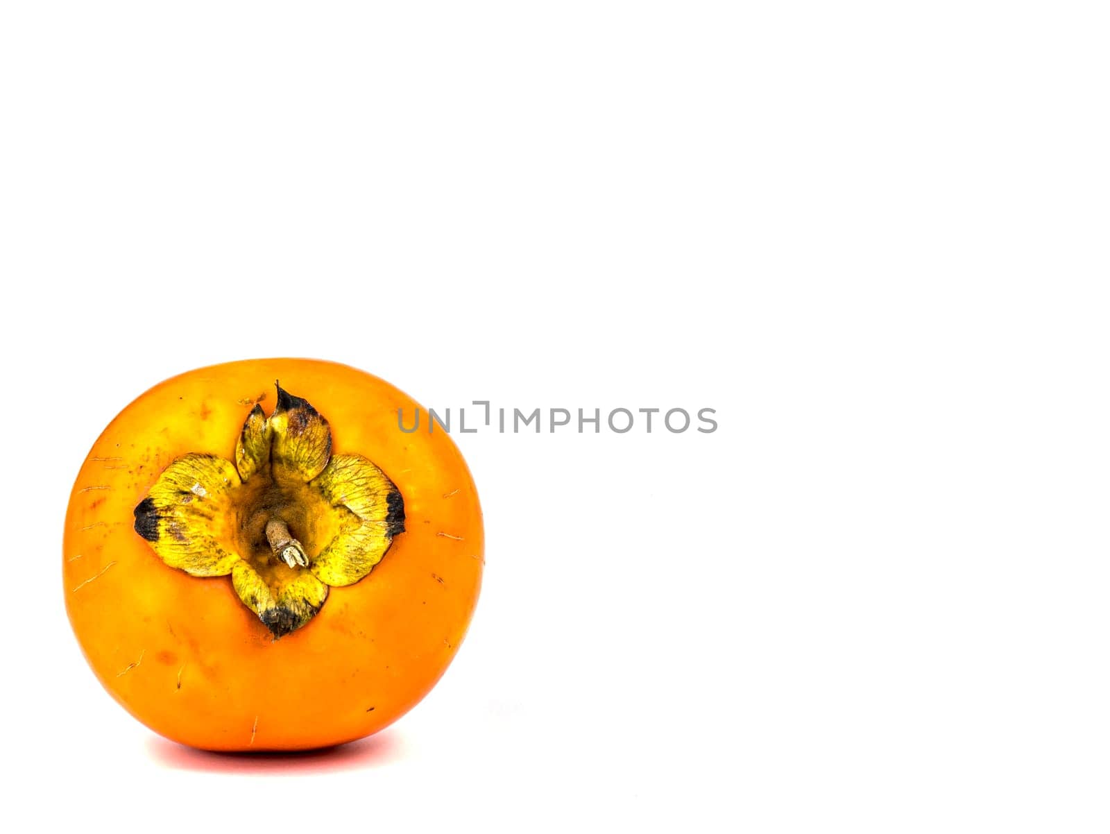 Persimmon fruit on a white background. Harvest. Place for text. Free place.