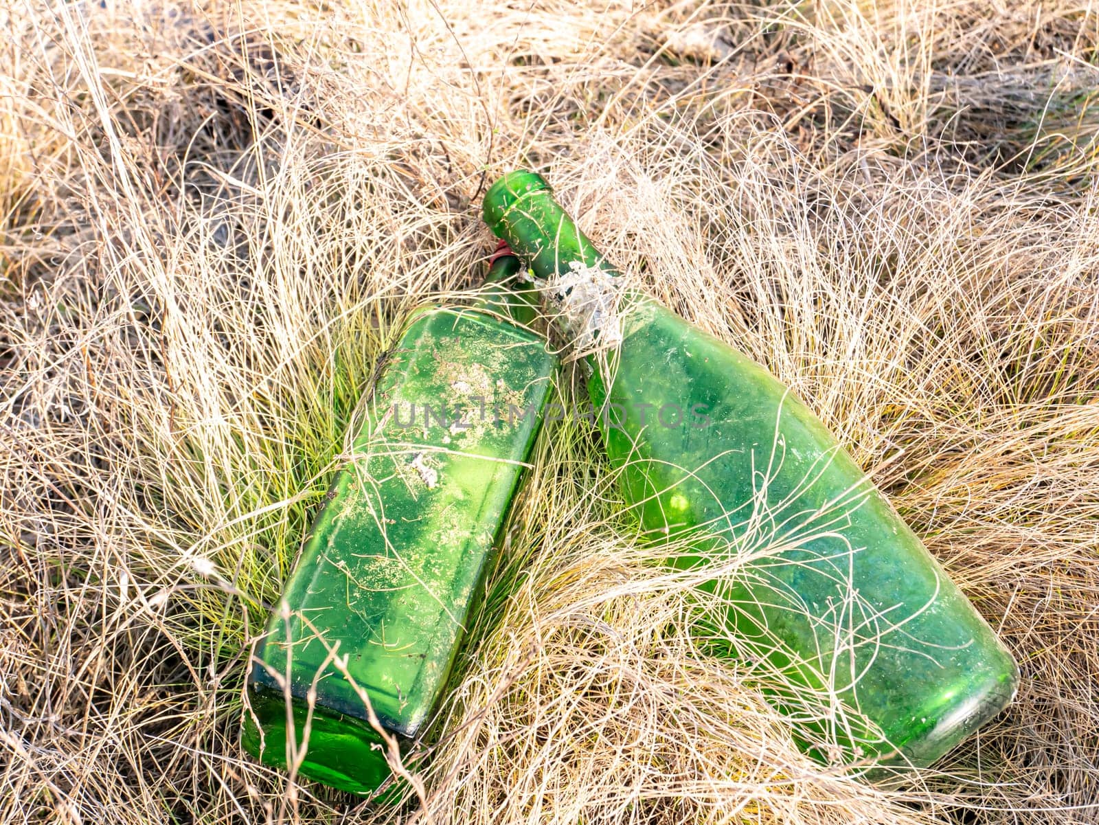 Empty alcohol bottles in the grass on nature. Tourism. Environment. Social problems. Garbage.