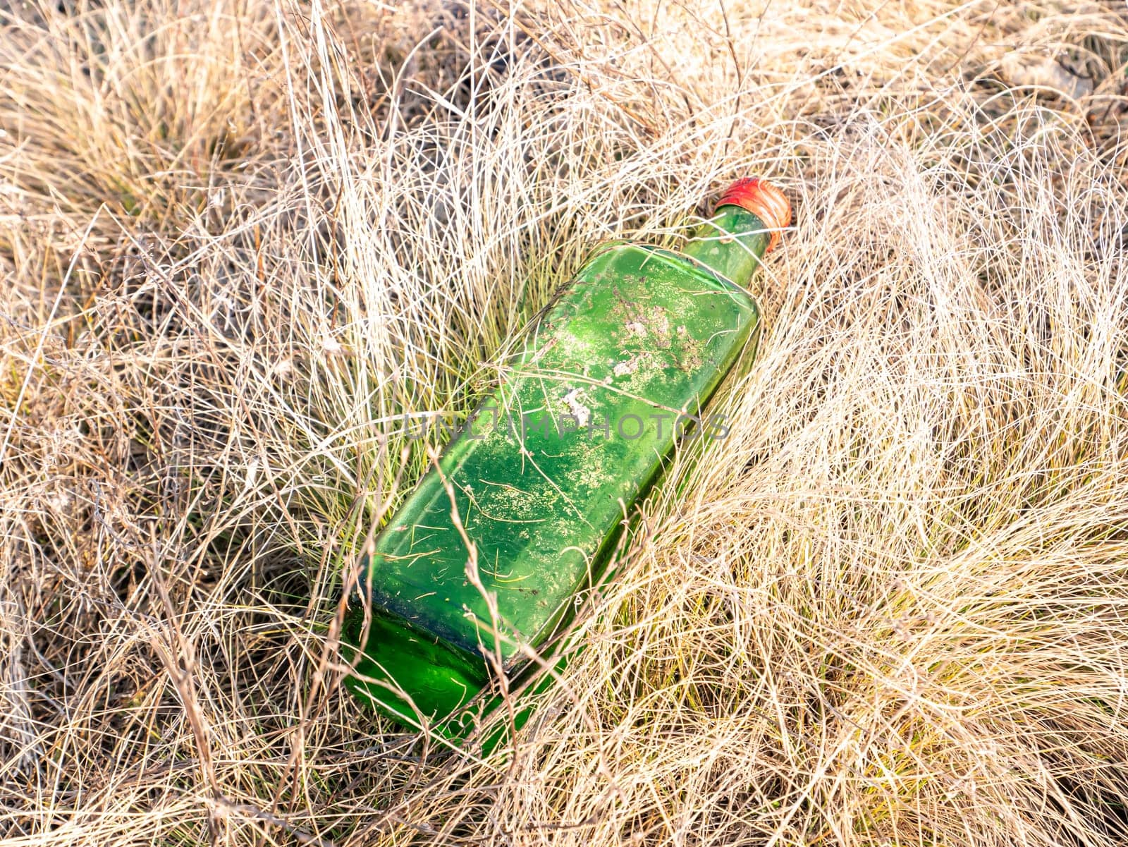 Empty alcohol bottles in the grass on nature. Tourism. Environment. Social problems. Garbage.