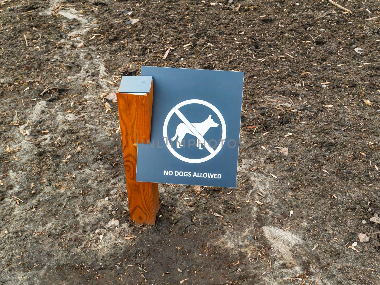 A dog walking sign is prohibited in a public park. Background image. A place. for text.