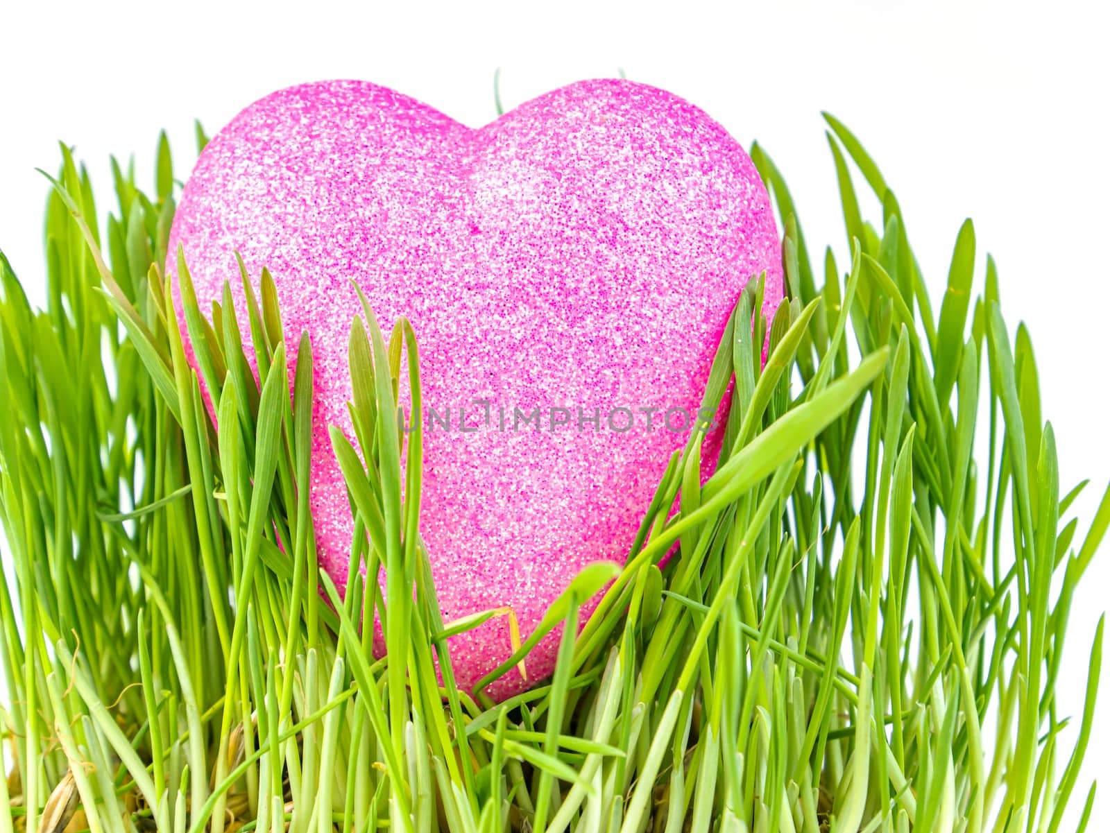 Heart symbol in green grass on a white background. Valentine's Day. Mothers Day. Happy Birthday. Place for text. Background image.