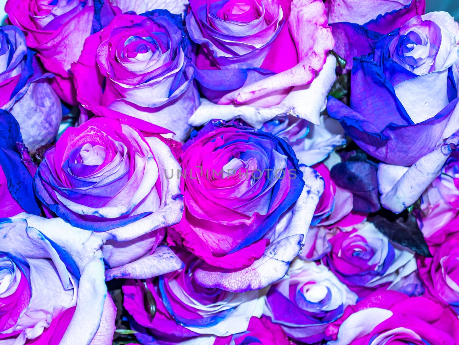 Festive bouquet of garden flowers of blue and purple roses. Mothers Day. Birthday. Bridal bouquet. Day of Remembrance. International Women's Day. Place for text. Background image. Advertising.