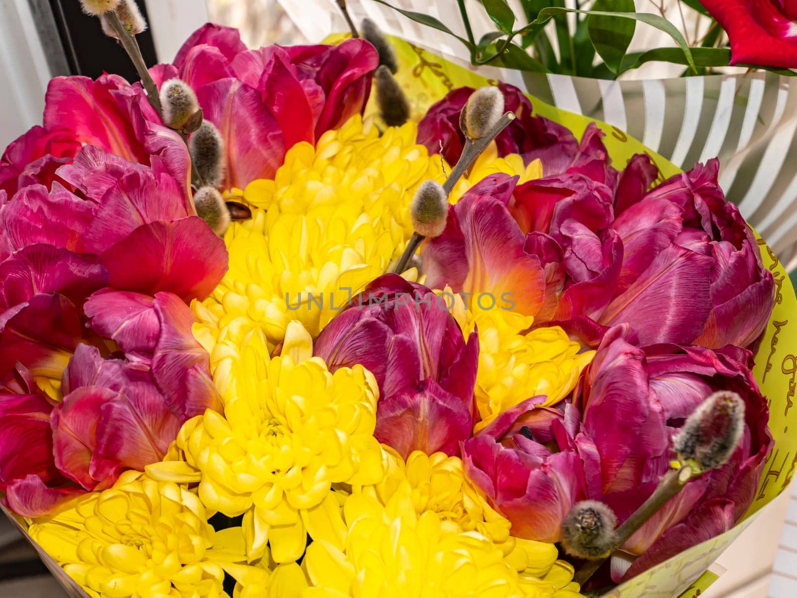 Festive bouquet of red and yellow flowers. Aster. Chamomile. Tulips Birthday. Bridal bouquet. Mothers Day. Valentine's Day. Place for text. Showcase flower shop.