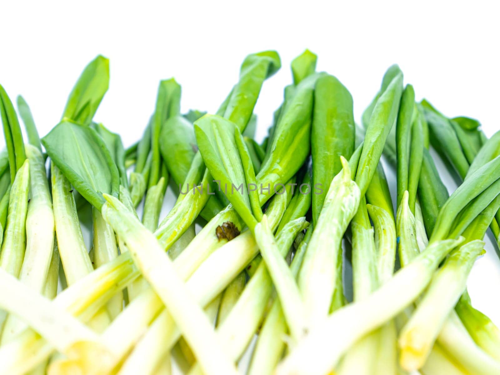 Spring wild garlic leaves on a white background. Place for text. Recipe. Vitamin. Place for text.
