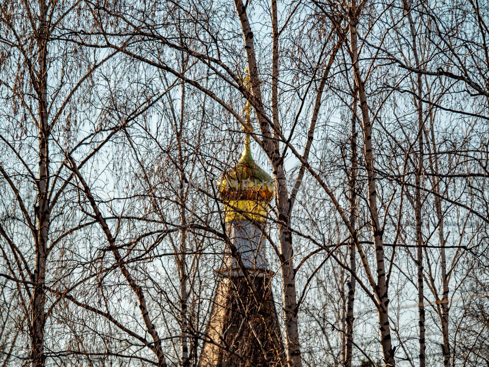 Domes of the temple of the Ukrainian Orthodox Church through the branches of birches. Religion. Easter. Christmas. Place for text.