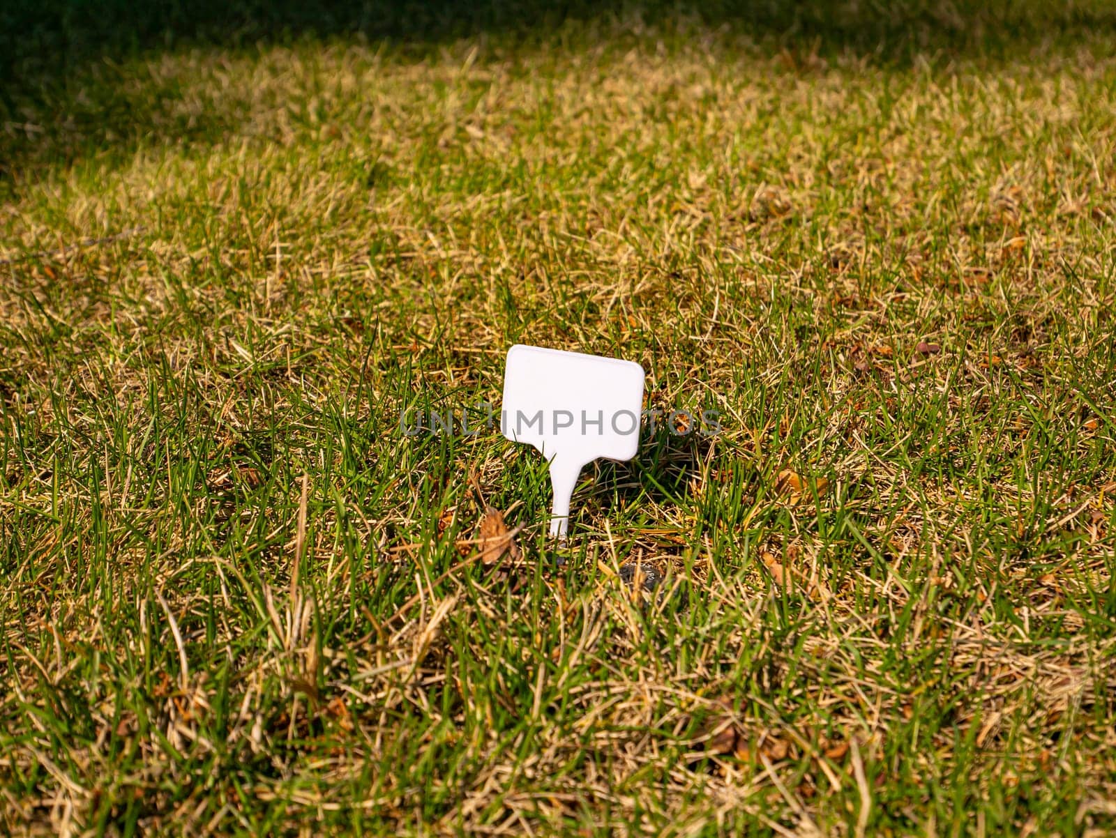 White plate for text on a grass lawn. Background image. Place for text.