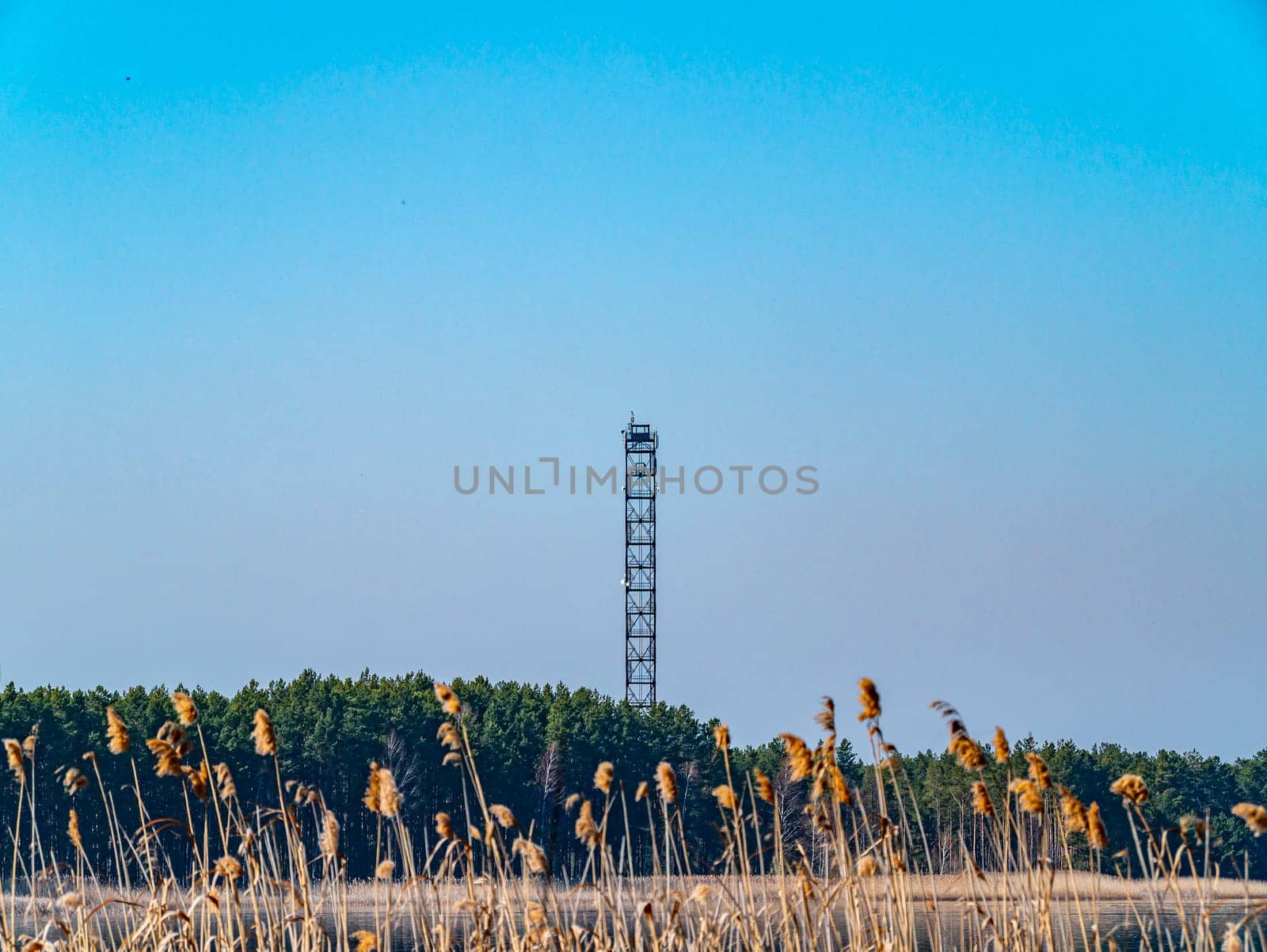 Fire observation tower in the forest against a blue sky. Help. Emergency. Place for text. Background image. Ecology. Environment.