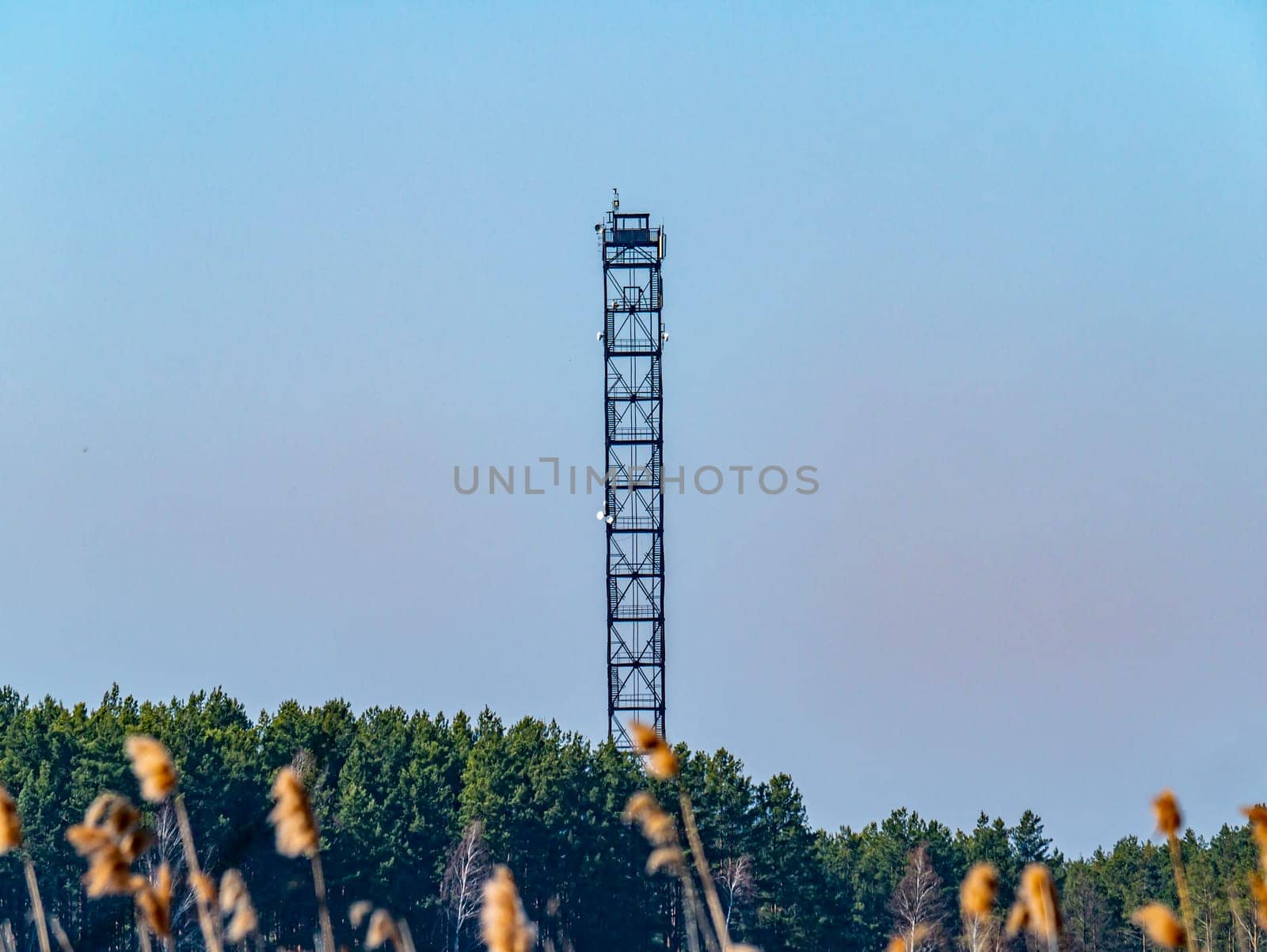 Fire observation tower in the forest against a blue sky. Help. Emergency. Place for text. Background image. Ecology. Environment.
