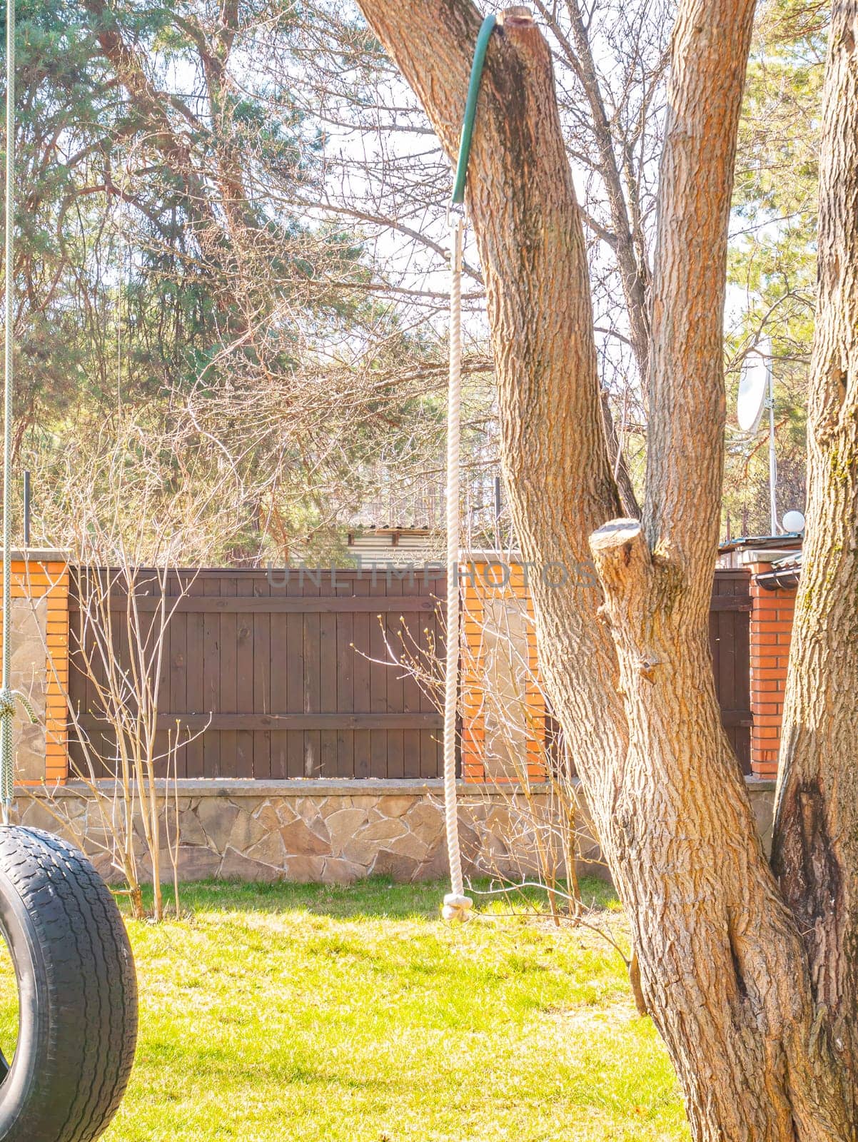 The rope is tied to a tree branch in the playground. Outdoor sports. Rest and leisure. Background image. Place for text.