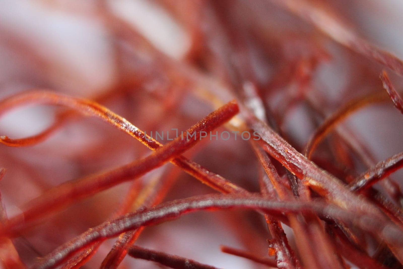 Macro photograph view of saffron with selective focus. Crocus sativus, commonly known as the "saffron crocus"""