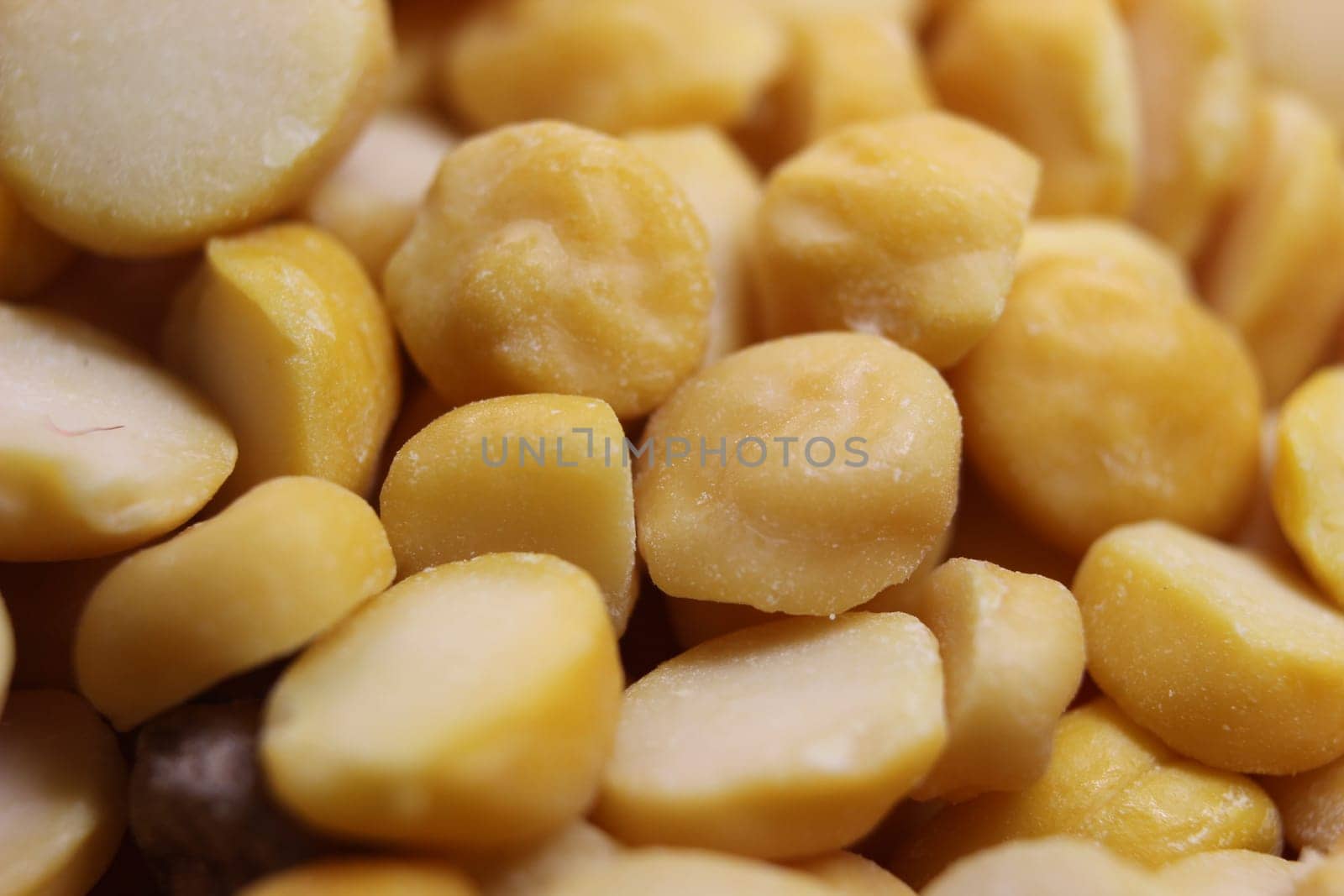 Yellow chickpea lentils seeds macro closeup view. Chana daal or yellow split peas spread background