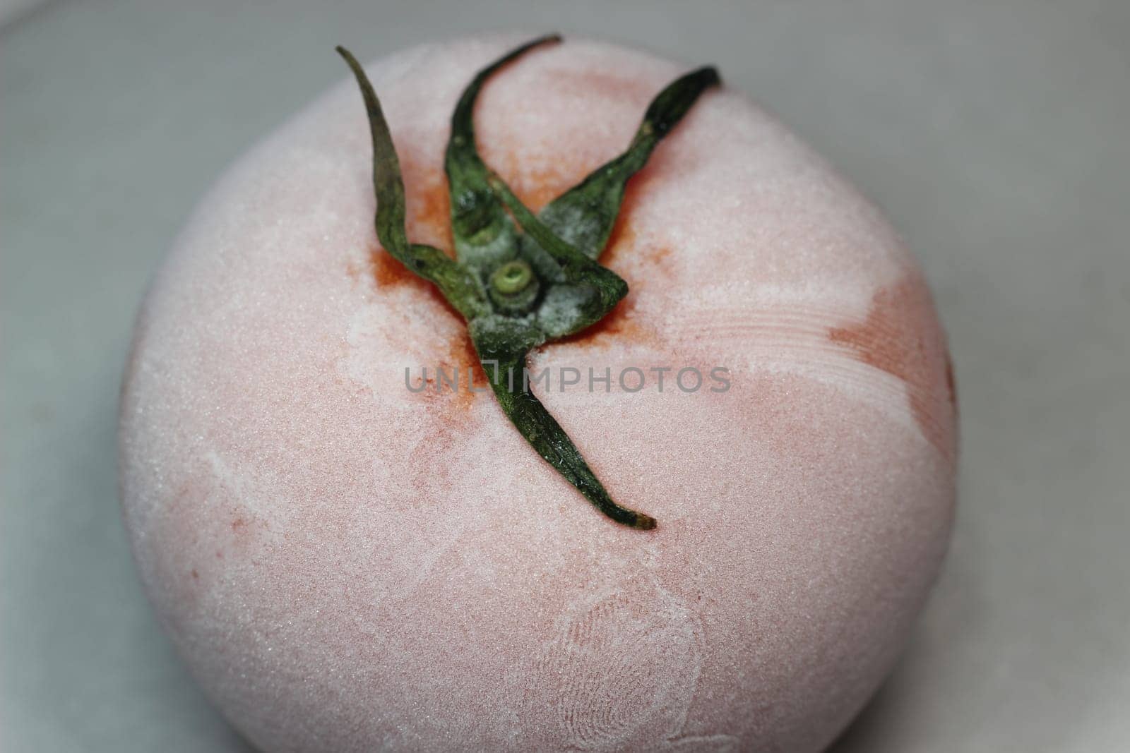Tomato covered with hoarfrost on a white background. Macro shot of a tomato on a white background.