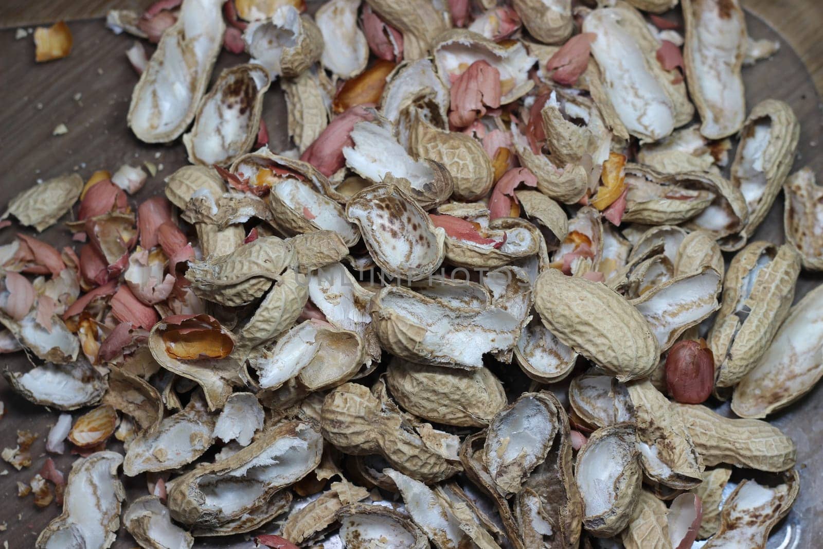 Empty peanut shells spread over floor. Peanut Shell Background.