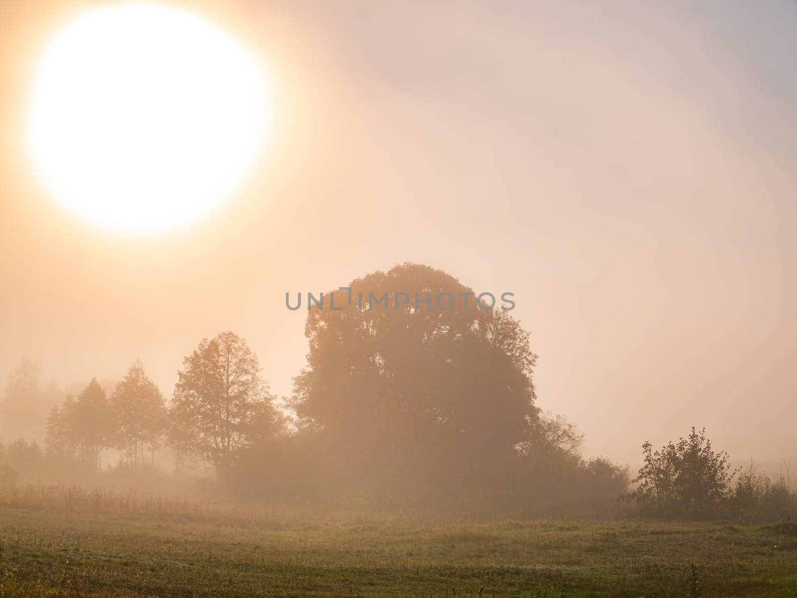 Sunrise over the meadow in the morning fog. Morning sunrise. Deruvia in the thick fog. Non-flying weather. Conditions of poor visibility. Natural landscape. Weather. Synoptic. Weather forecast.