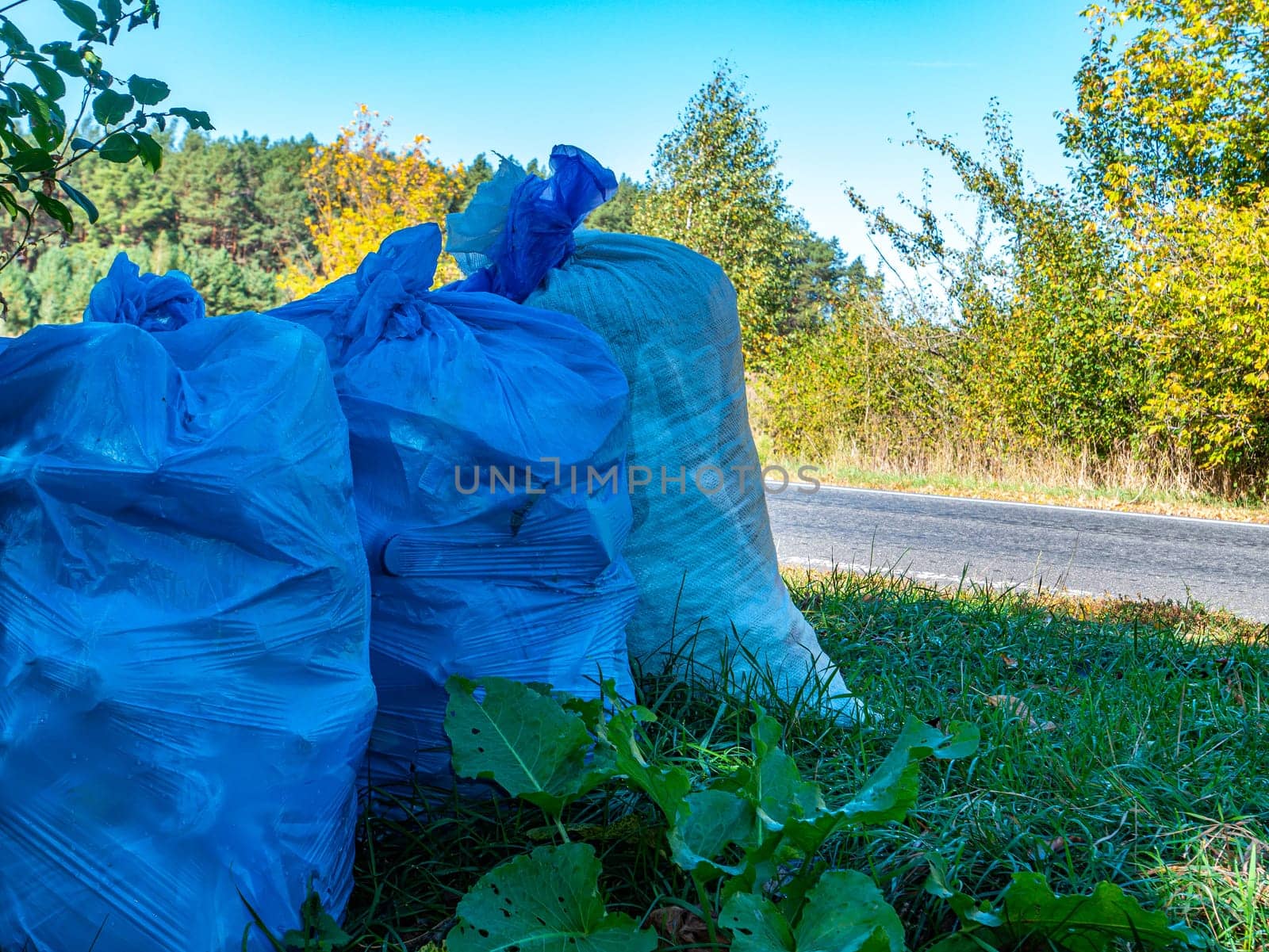 Household garbage in blue bags near the road. Removal of household waste from the settlement. Plastic bags with household waste. Garbage collection for disposal at a landfill. Ecology.