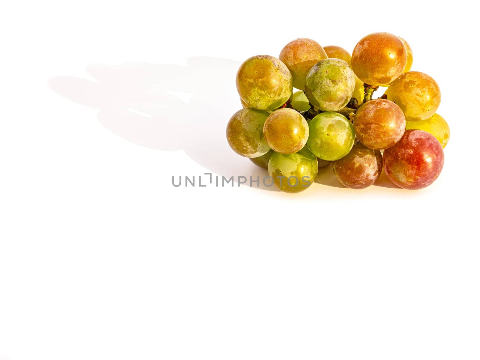 Harvest grapes berries on a white background. Grape juice. Winemaking. Wine production. Fruit shop showcase. Grape gardening. Agriculture. Place for text. Dried fruits. Garden fruits.