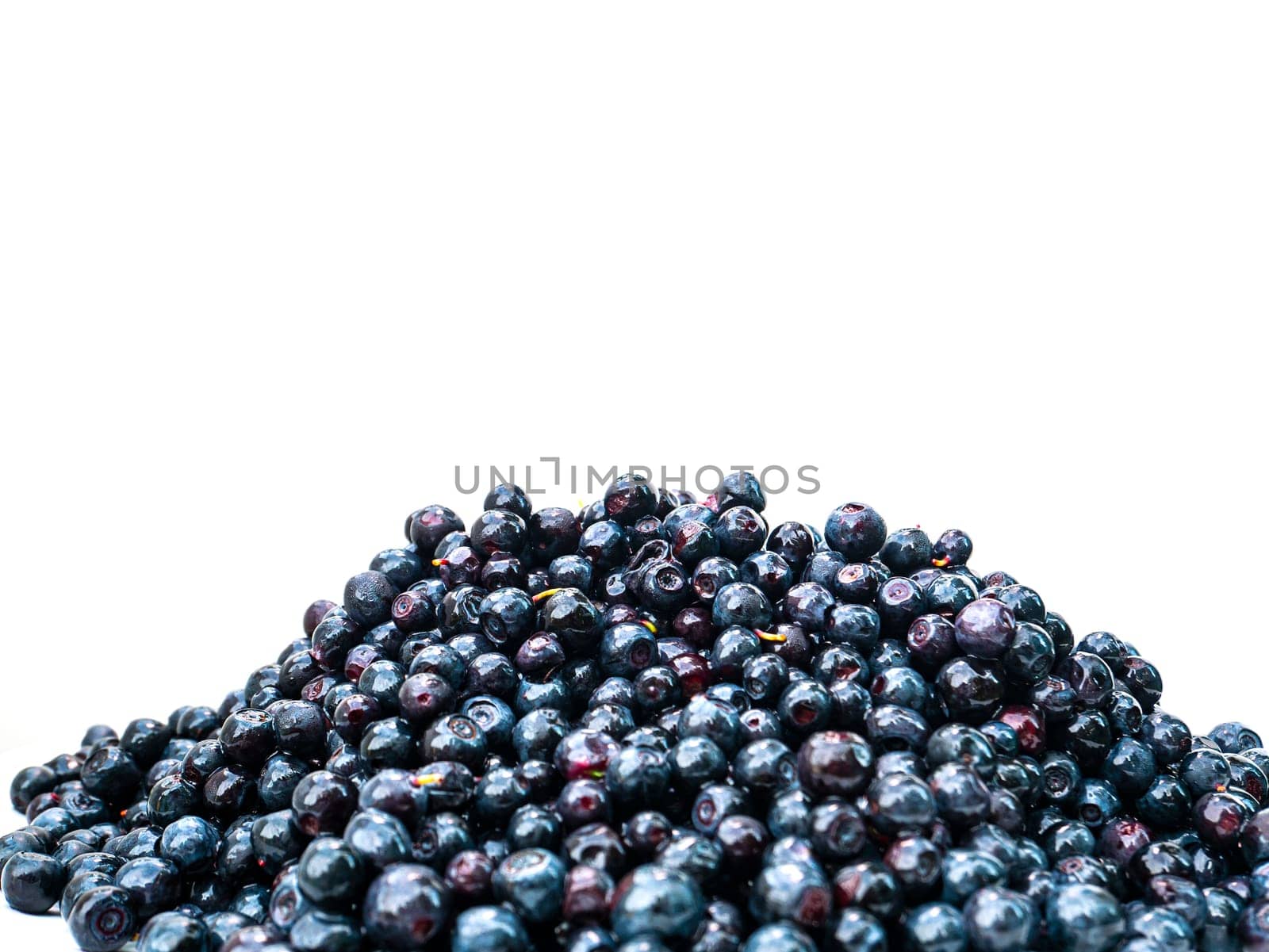 Fruits of berries of forest blueberries on a white background. Harvesting. Food photo. Place for text. Template. Poster. Background image. Shop window. Advertising. Vitamins