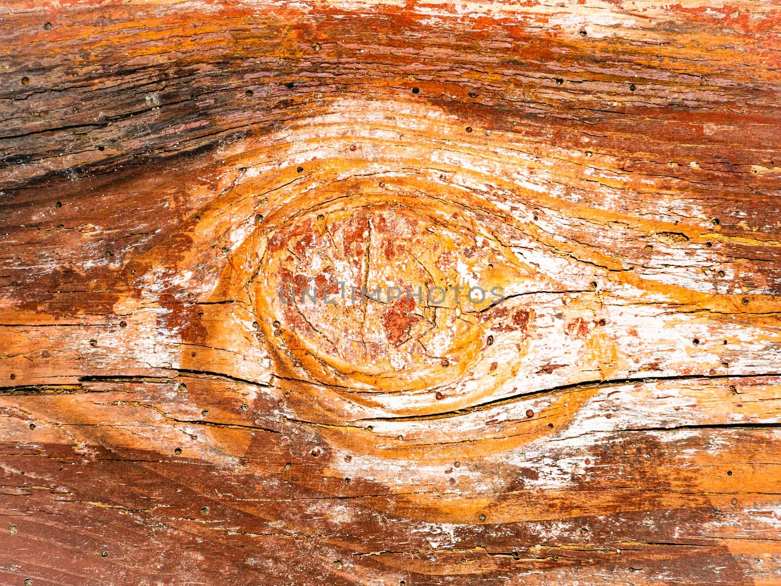 The surface texture of a wooden board with knots. The background image of the site page. Template with place for text. Poster. Advertising.