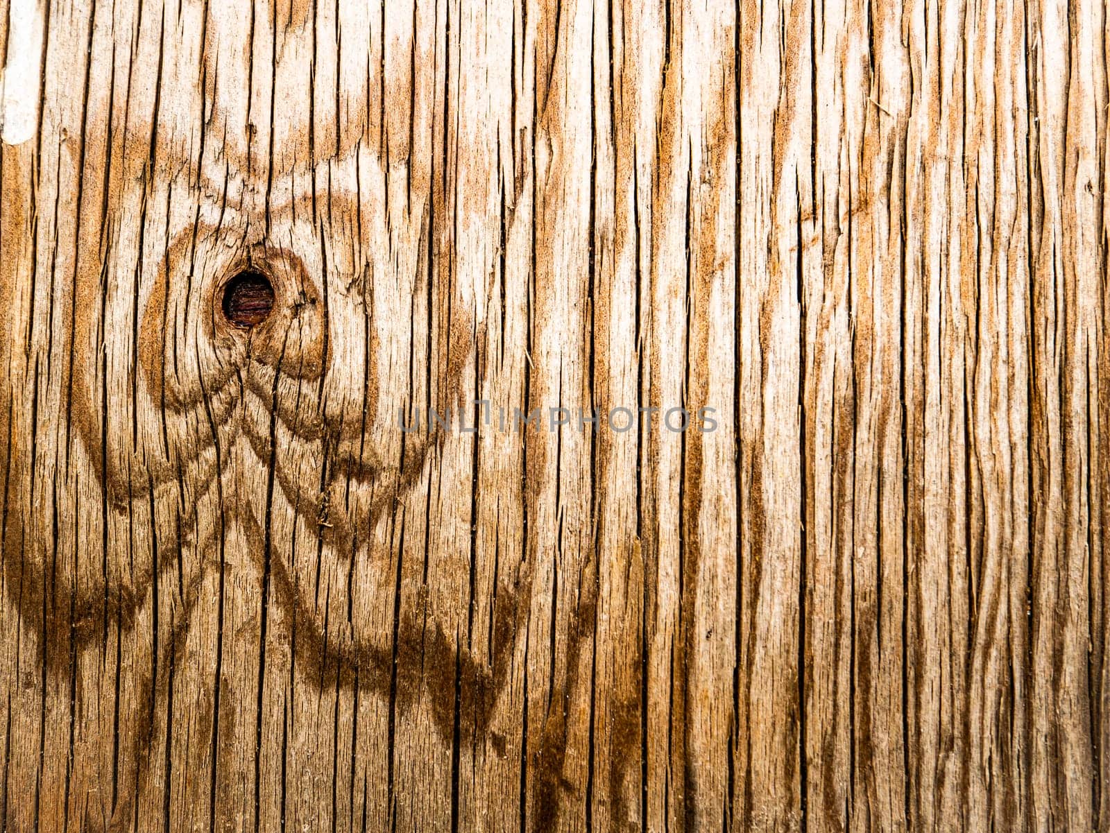 The surface texture of a wooden board with knots. The background image of the site page. Template with place for text. Poster. Advertising.