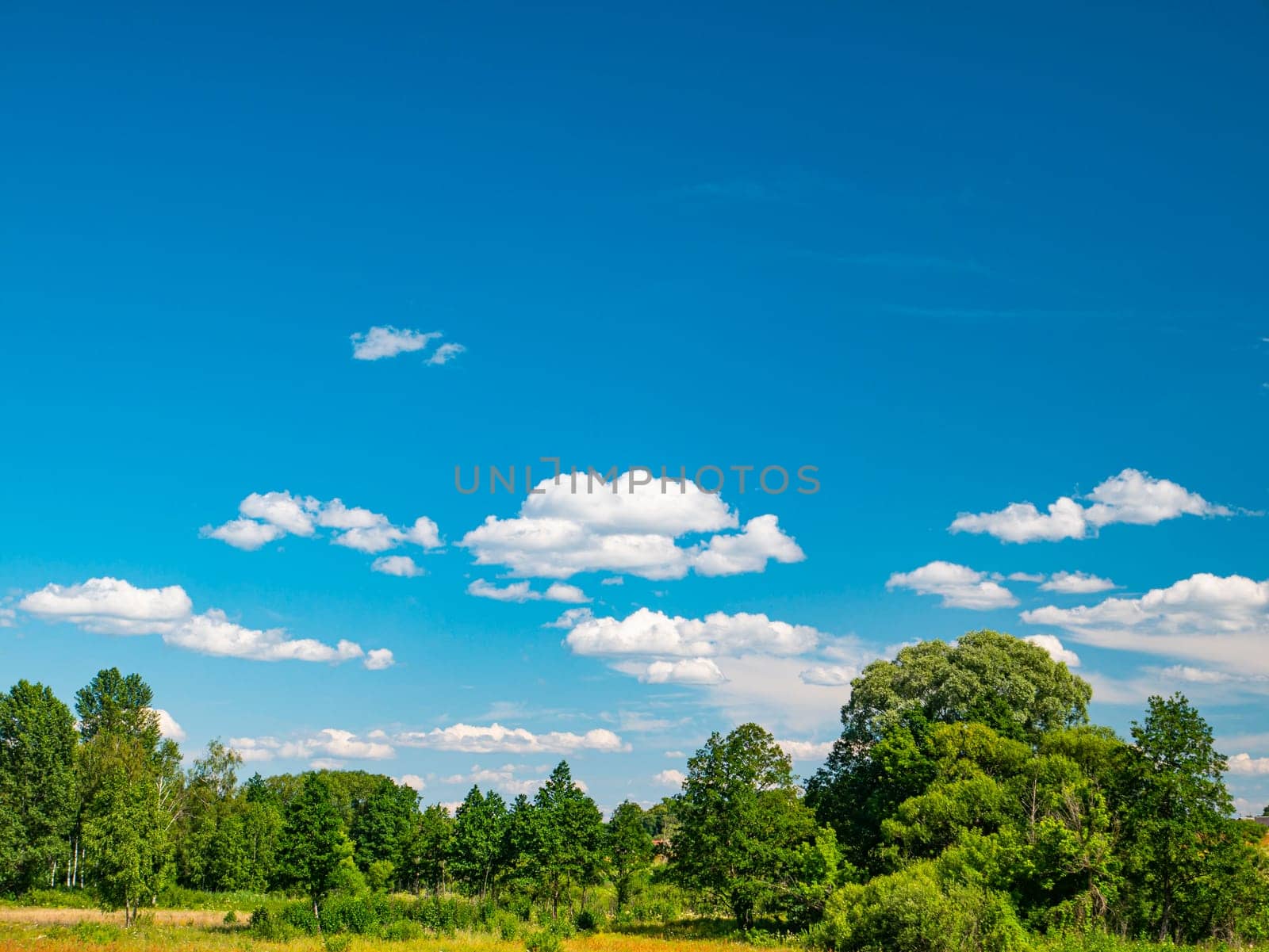 Blue sky with clouds on green trees. Cloudy horizon. Natural landscape. Sunlight. Admire the view. Background image. Free space for text. Template. Poster.