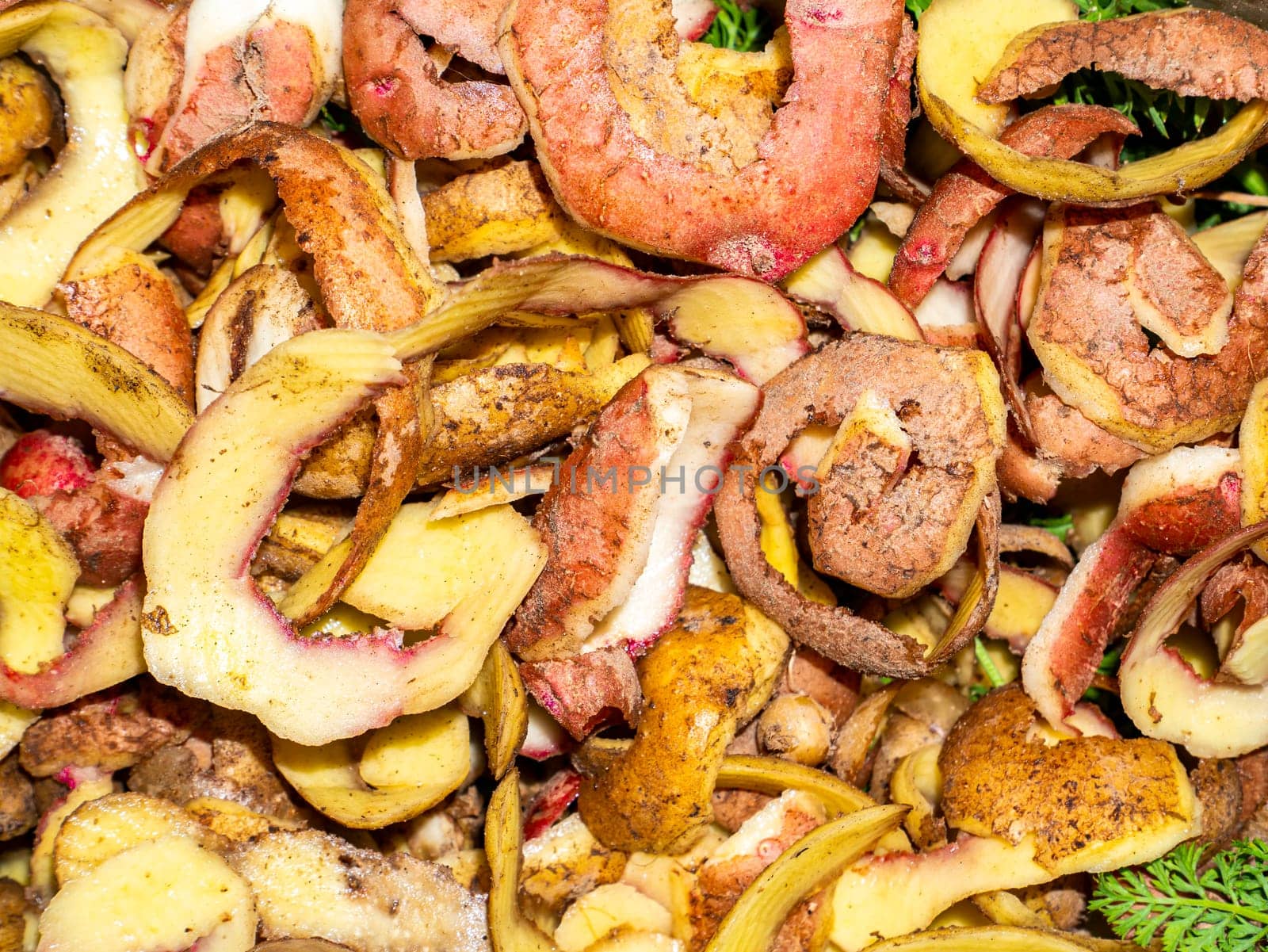 The peel of a peeled vegetable potato. Food photo. Harvesting. Farm. Agriculture. Advertising photo of a shop window of a vegetable store. Place for text. Cooking food.