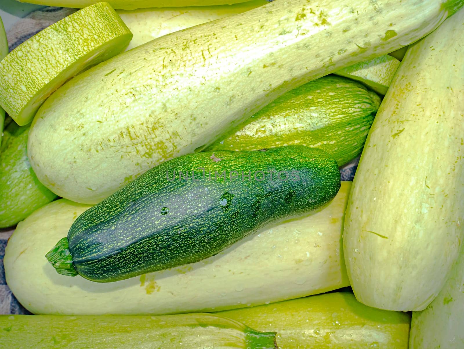 Harvest of green squash vegetables in a heap. Food photo. Agriculture. Farmer. Raw vegetables. Advertising photo of a shop window. Background image. Place for text. Home kitchen. Poster.