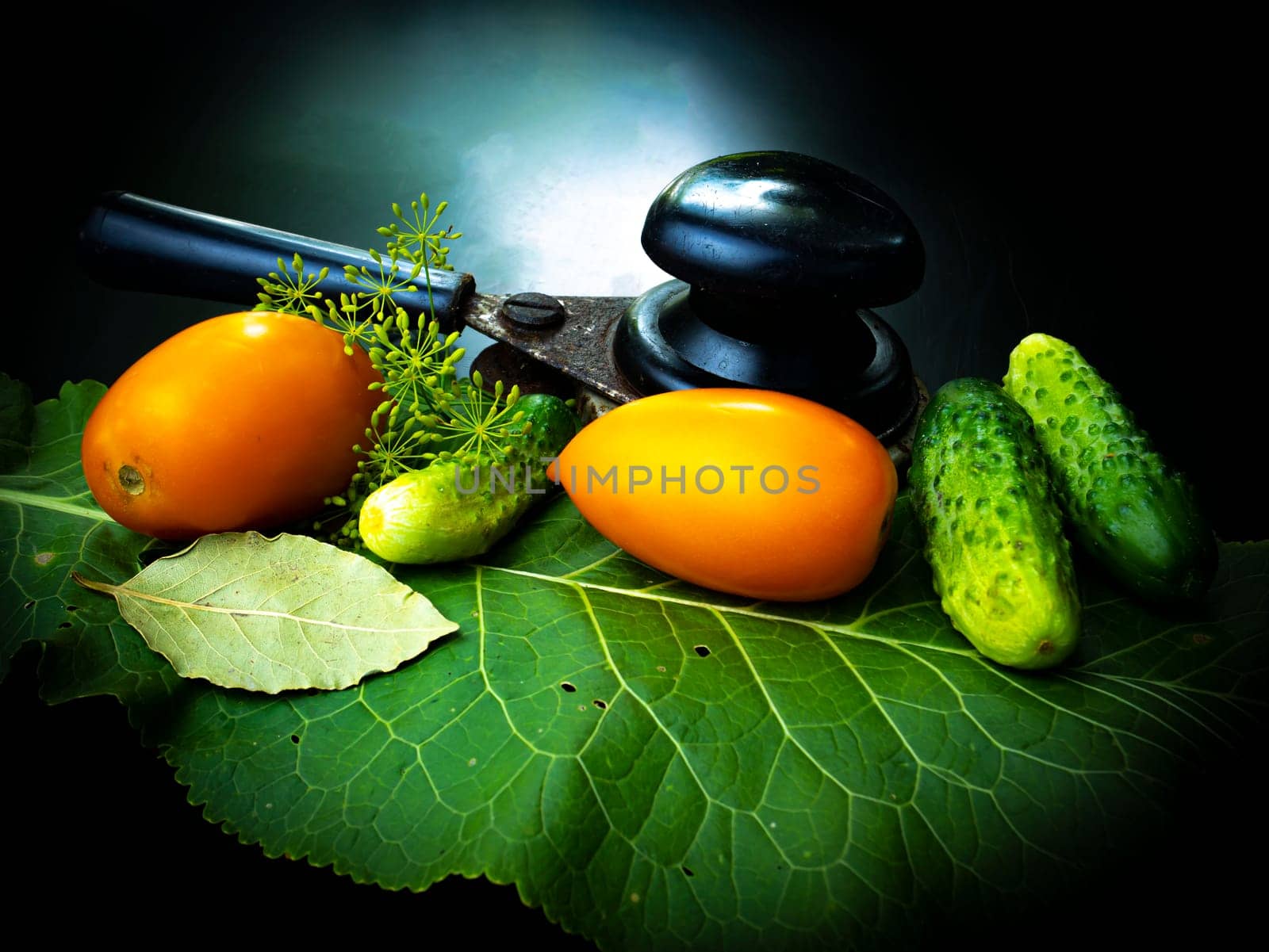 Preservation of vegetables, cucumbers and tomatoes with horseradish. Food photo. Agriculture. Farm. Shop window photo. Preservation of tomato. Pickles. Preservation machine.