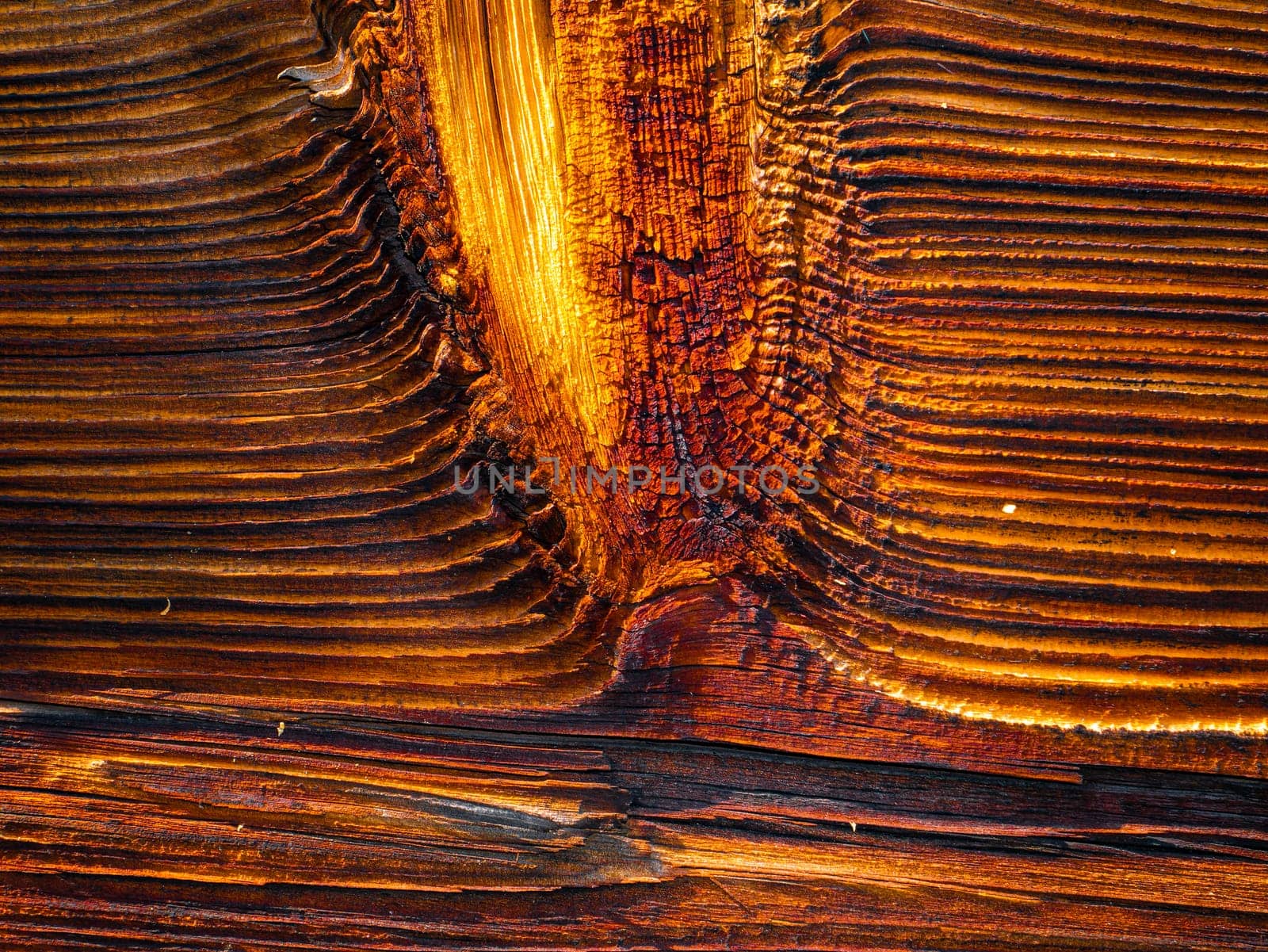 The texture of the longitudinal section of wood with knots. Background image. Place for text. Template. Poster. Wood processing industry. Old wooden board. Deforestation.