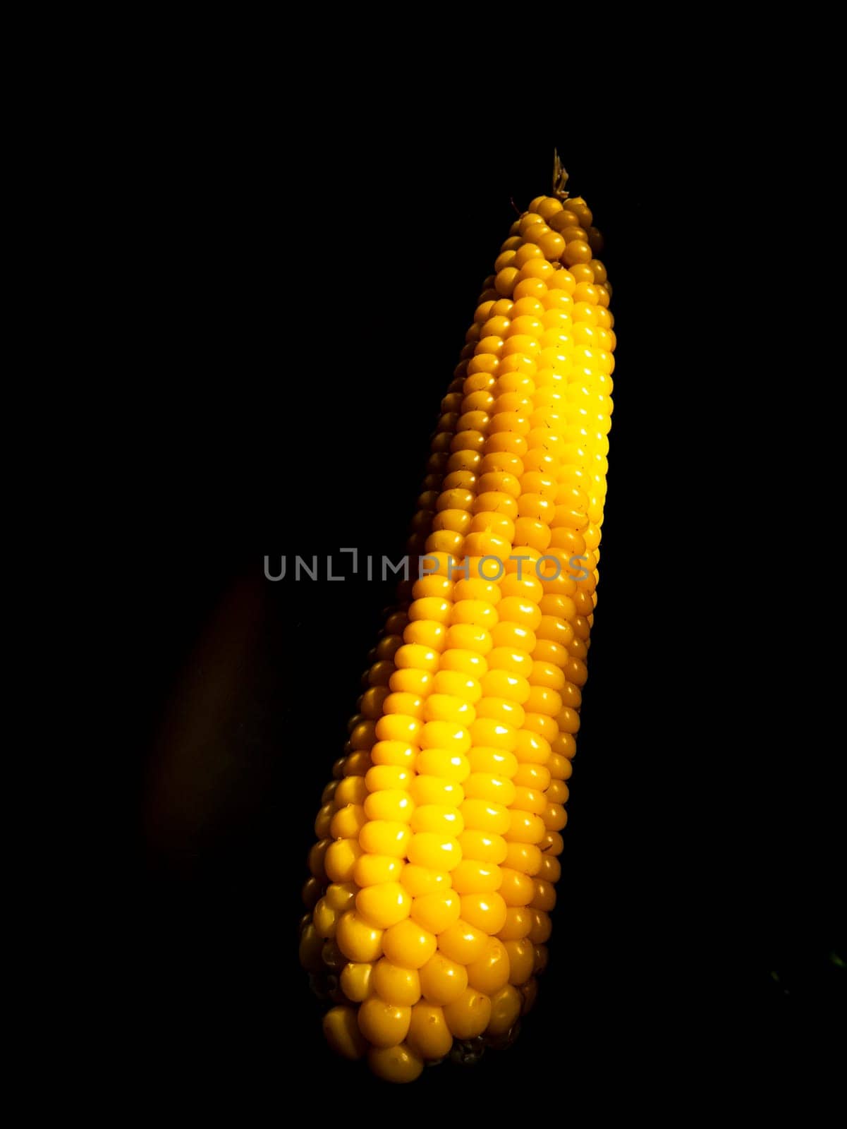 Yellow swing of corn on a black background. Boiled corn. Harvest. Agriculture. Food photo. Black background. Place for your text. Background image. Poster. Vegetarian food.