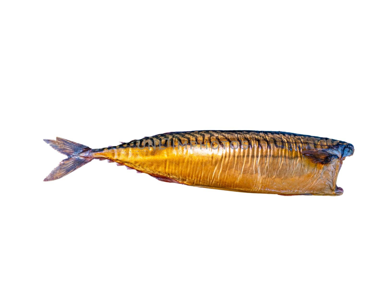 Smoked mackerel fish on a white plate. Salted mackerel fish. Canned food. Food photo. Recipe. Menu of dishes. Vegetarian food. Home kitchen. Fishing. Background image. Place for your text.