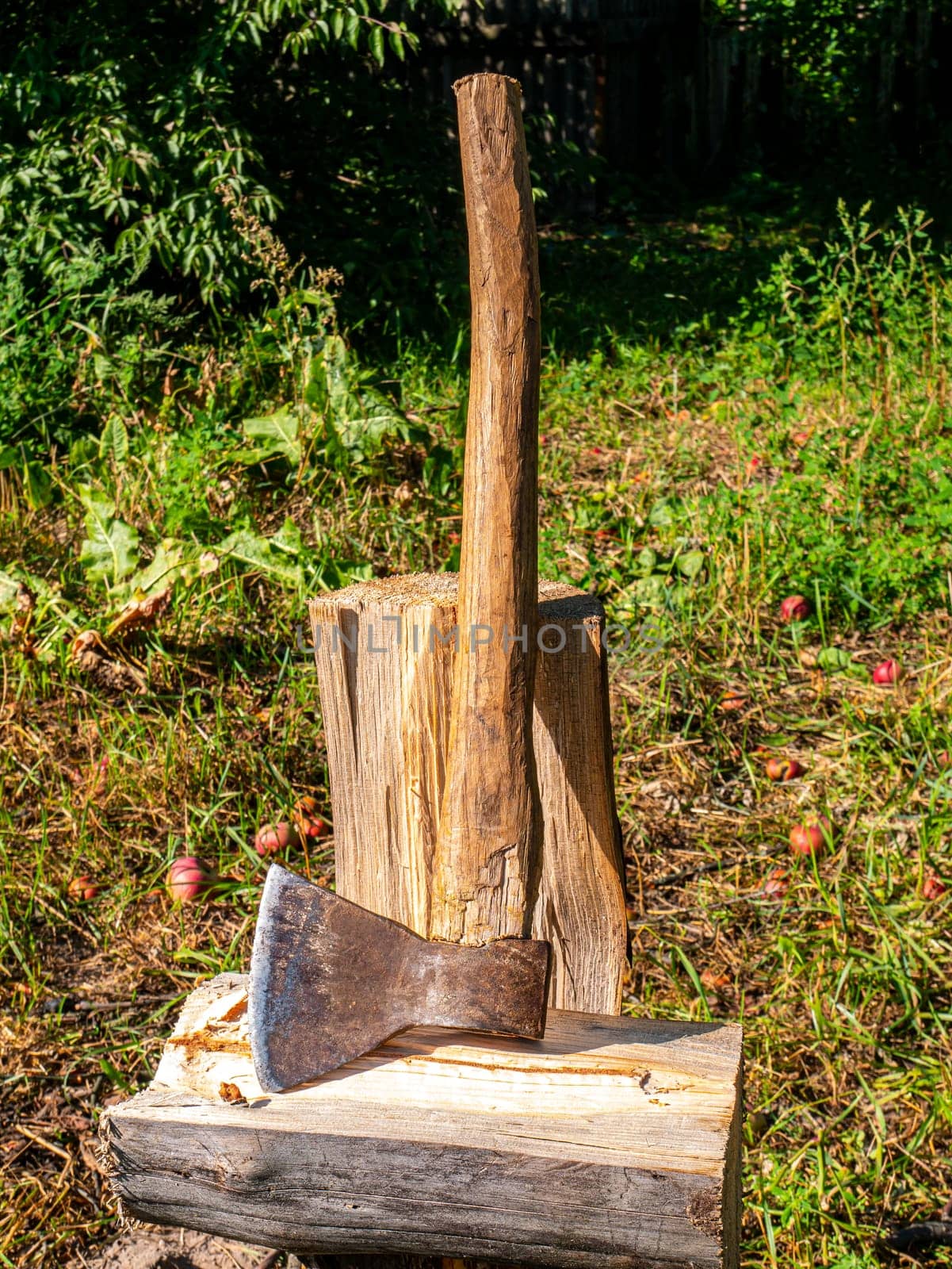 Chopping wood with an iron ax with a wooden handle. Hand tool ax. Preparation of firewood for the heating season. Deforestation. Timber industry. Environmental protection. Lumberjack. Pine tree.