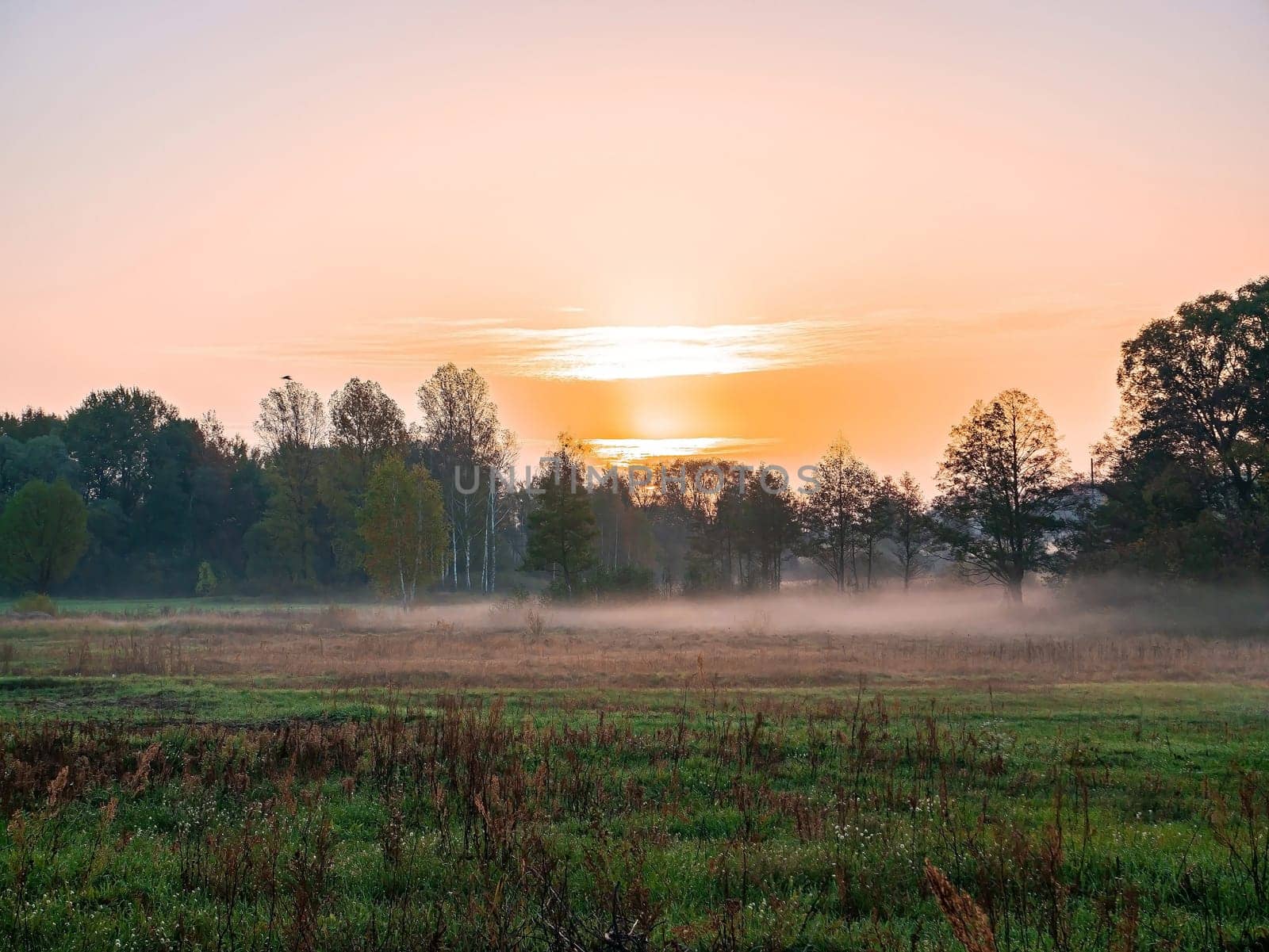 Orange sunrise over a meadow in fog. Orange sunny sunset over the horizon. Trees on the horizon. Morning fog over the meadow. The morning dawn of the rising sun. Evening dawn of the sunset.