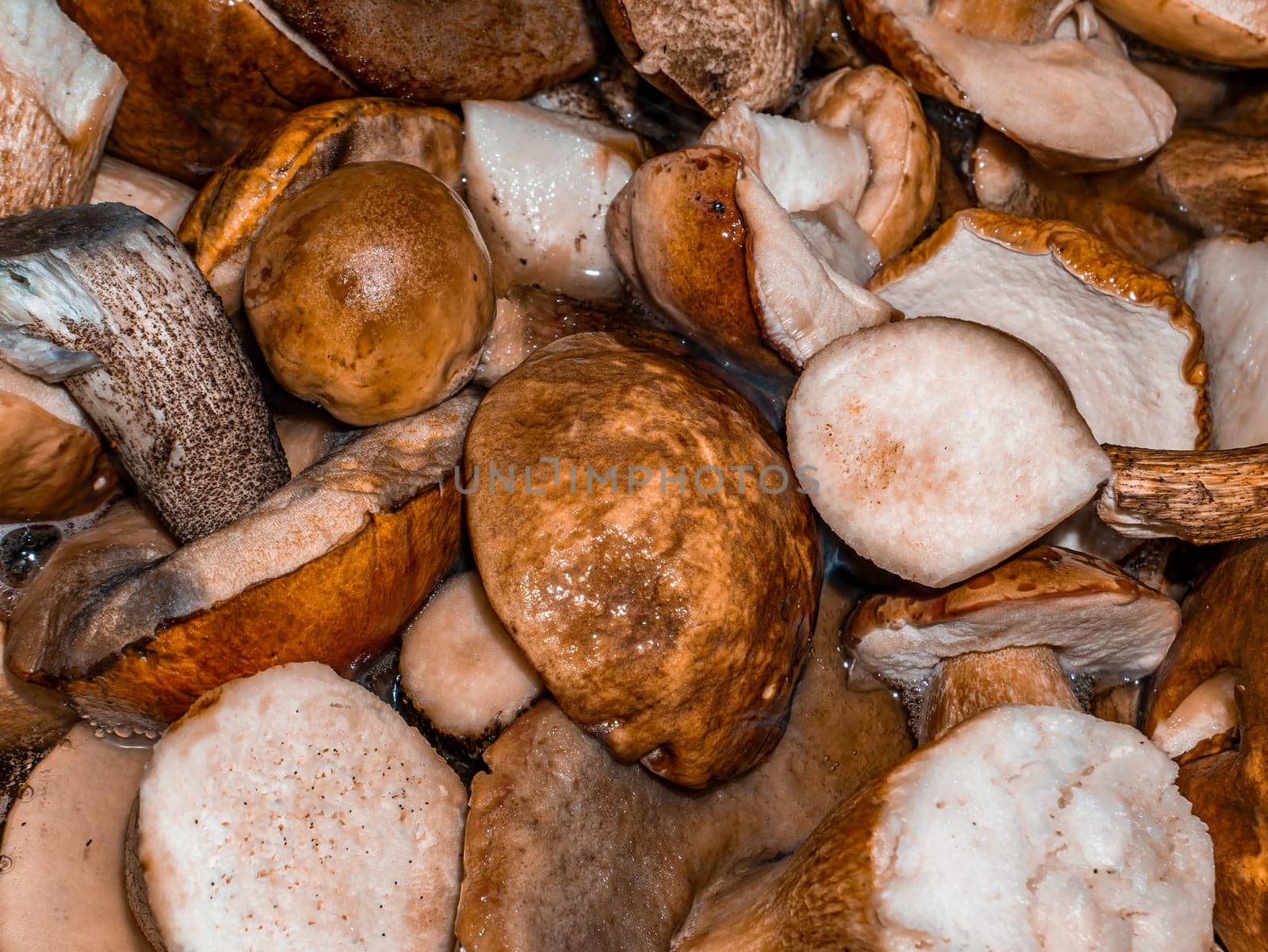 Forest harvest of porcini mushrooms and boletus. Harvesting season for edible mushrooms. Forest harvest in autumn. Mycelium. Cooking mushroom food. Raw food. Homemade mushroom cuisine.