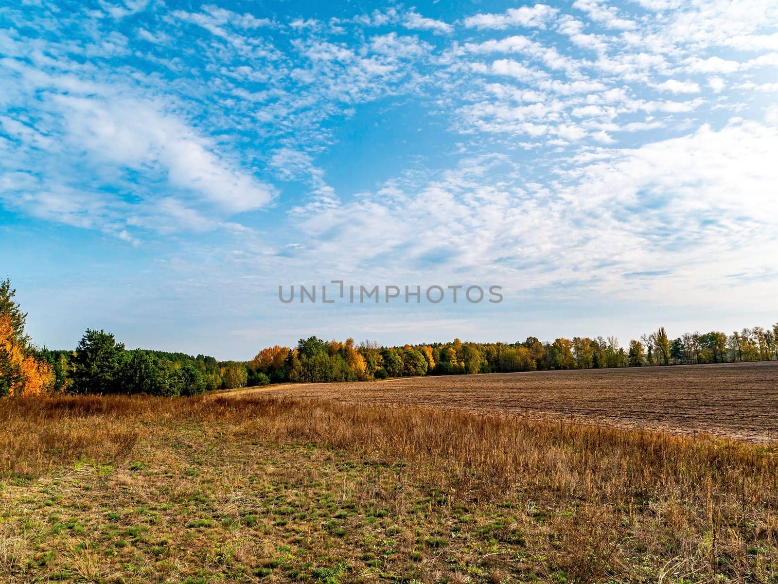 A plowed agricultural field against the cloudy skyline. Plowed potion in a farm field. Autumn season. Trees on the horizon. Cloudy sky. Preparation for sowing agricultural crops. Background image.
