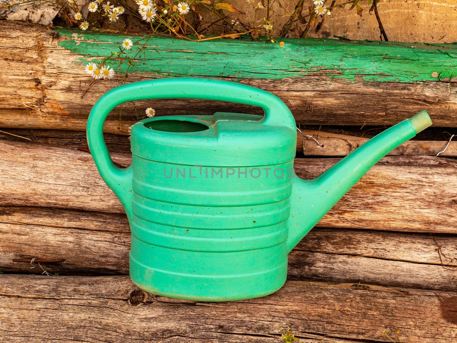 Green plastic watering can for plants and flowers. Watering can for the garden. Water the plants and flowers. Pour the vegetable garden. Gardening. Work tool. Gardener's tool. Place for text.
