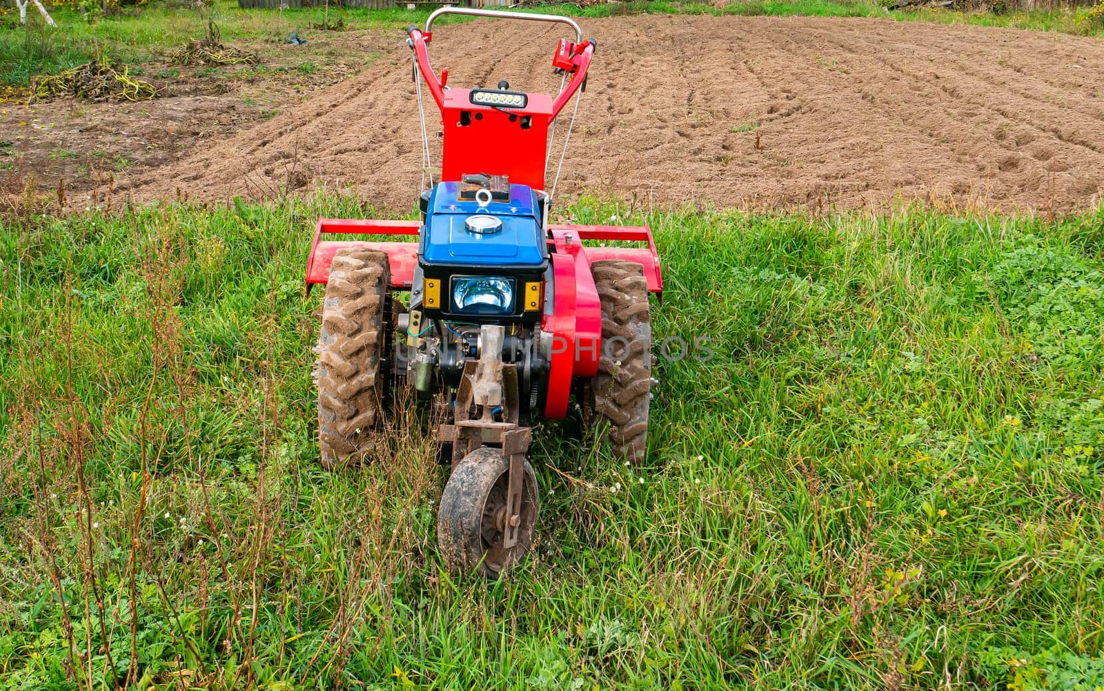Farm machinery walk behind tractor in the field. Agricultural mechanization. Agricultural tractor. Motoblock. Motoblock in gardening. Processing a farm field with a walk behind tractor.