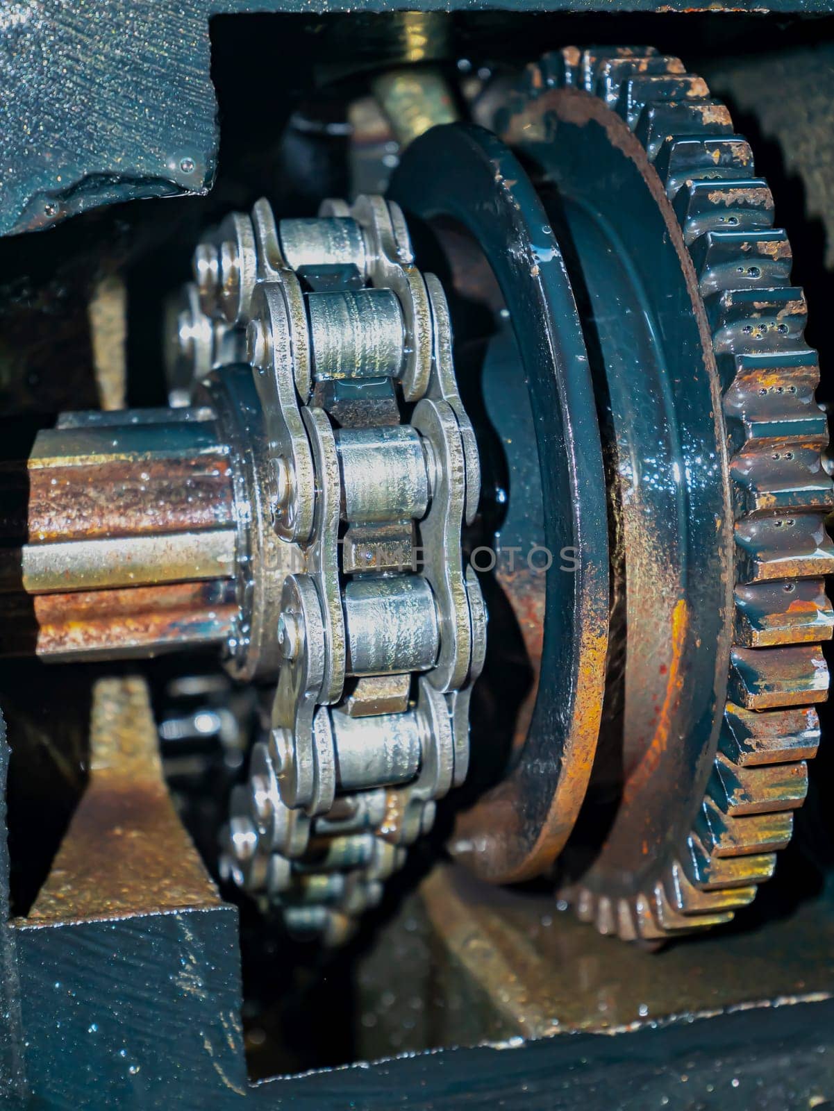 Gears and chain of the rotating shaft of the vehicle. Car gears. Engine. Car repair. Mechanism lubricating oil. Agricultural tractor. Freight transport. Motoblock. Gearbox. Rotating part.