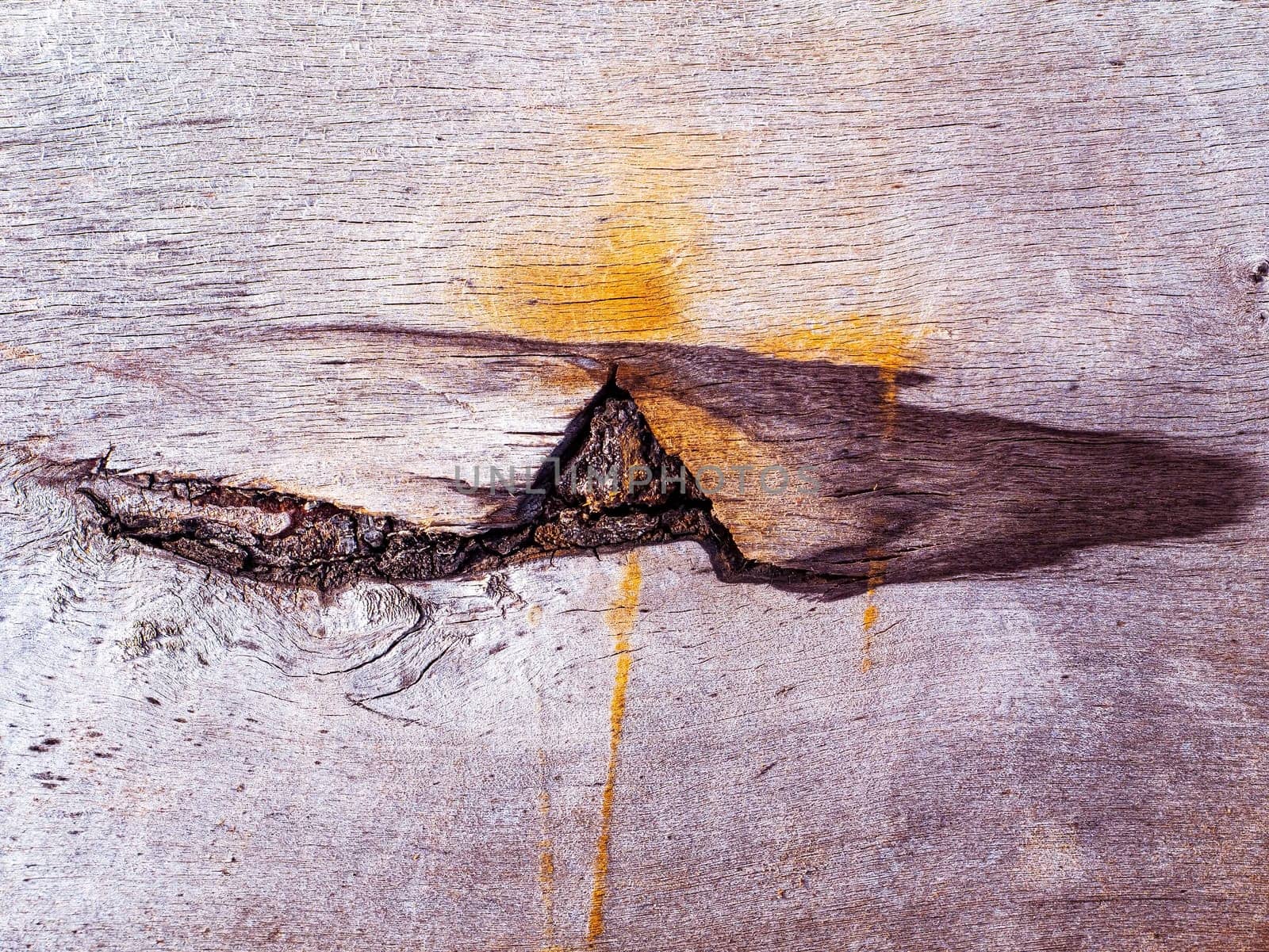 Faded texture of a wooden plank surface with rusty spots. Rusty metal stains on a wooden board. Bough of a tree. Aging process. Background image. Place for text. Cracks. Poster.
