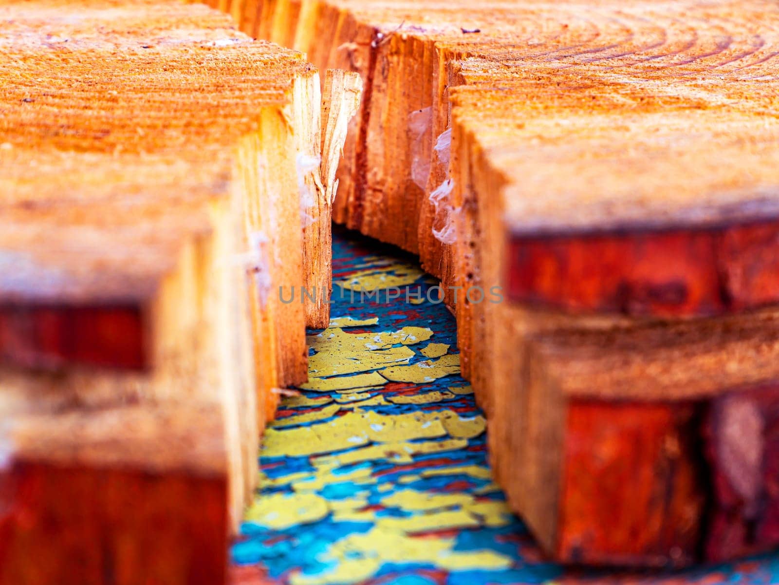 The texture of a transverse crack in a cut of pine wood. Chopped tree. Logging. Background image. Sawmill wood. Deforestation. Pine cut surface structure. Place for text. Texture.