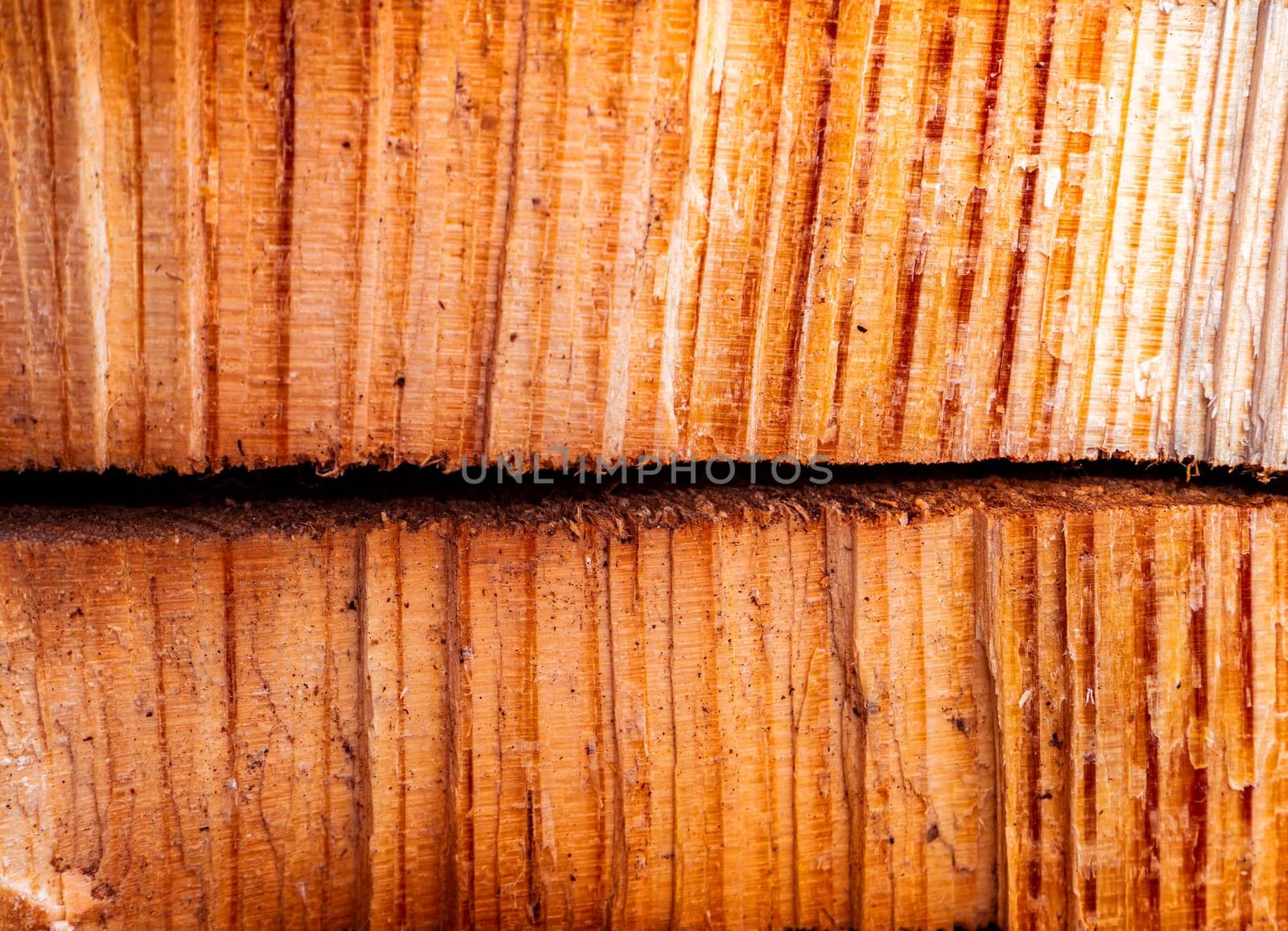 The texture of a transverse crack in a cut of pine wood. Chopped tree. Logging. Background image. Sawmill wood. Deforestation. Pine cut surface structure. Place for text. Texture.