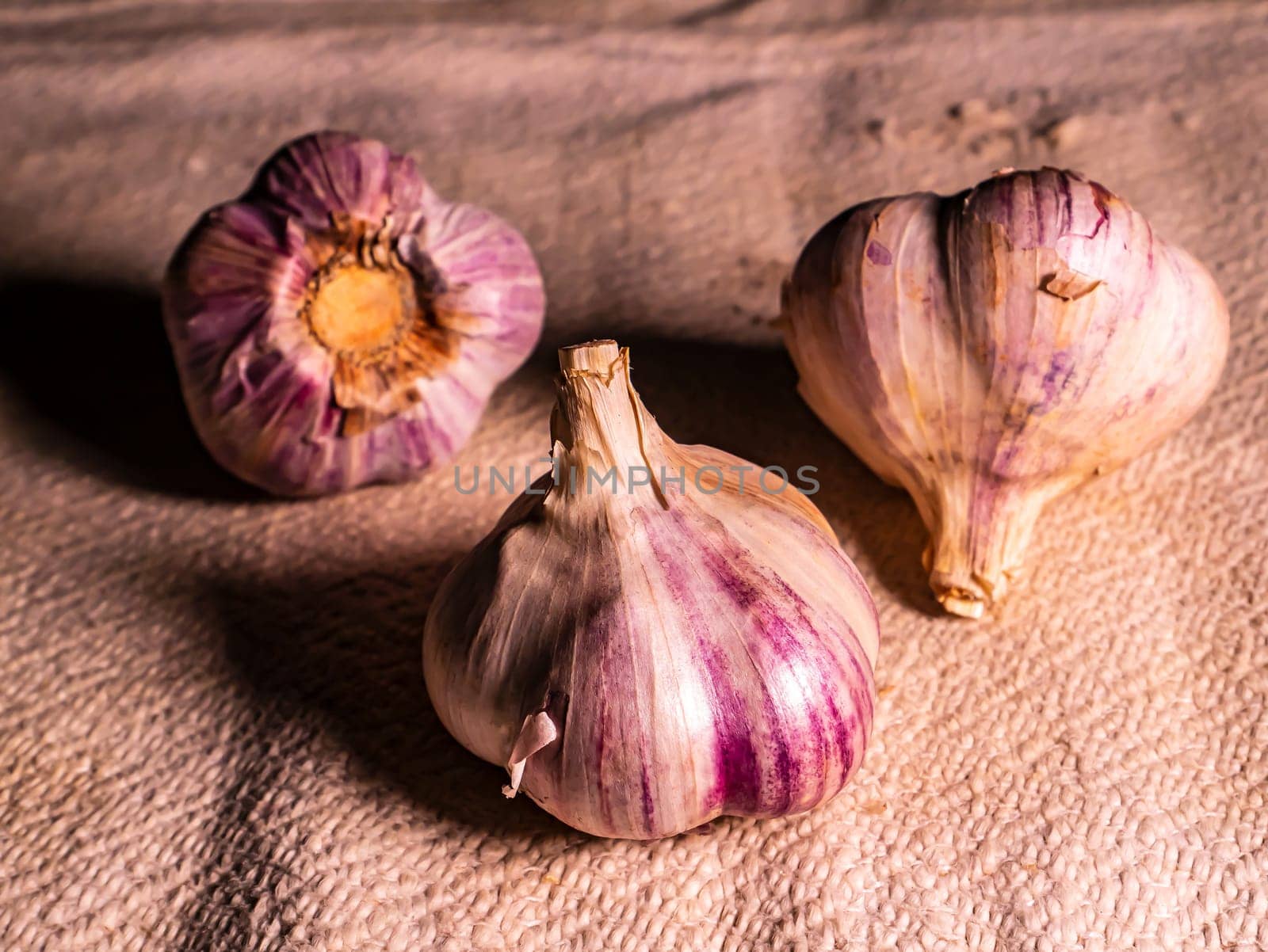 Spicy garlic vegetable on a black background. Harvest vegetables. Head of garlic. Hot seasoning. Vegetarian food. Agriculture. Background image. Food photo.