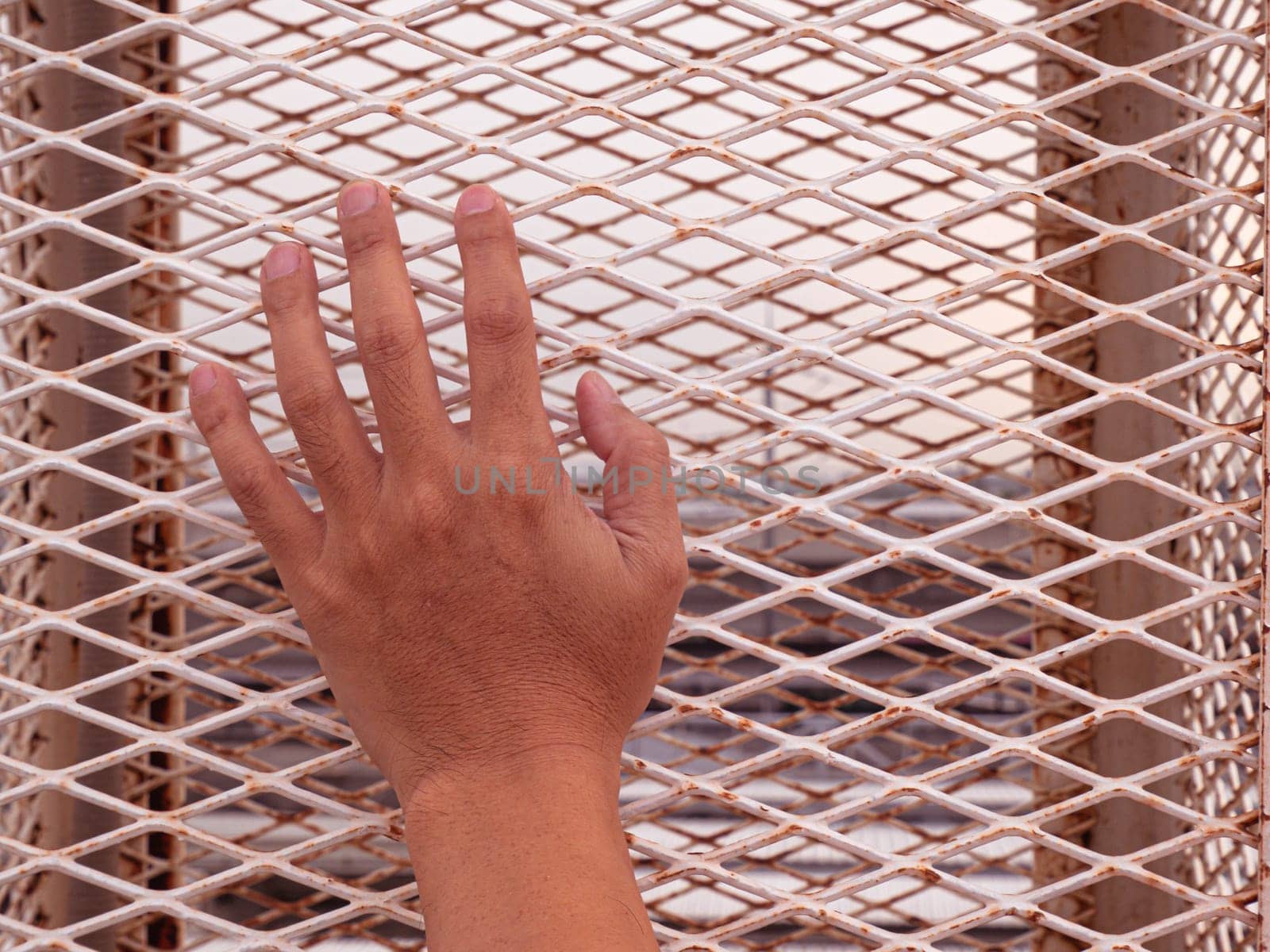 Close up hand of man holding white metal cage protect safety concept idea