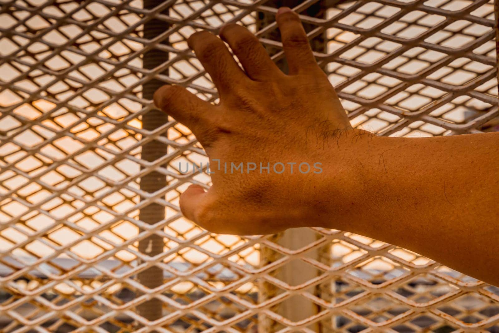 Close up hand of man holding white metal cage protect safety concept idea